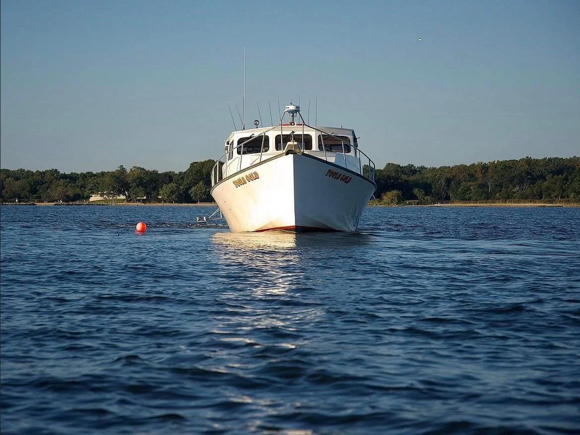 A white boat floating on calm water with a treeline in the background, under a clear sky.