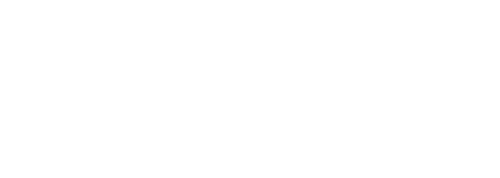 Veil &amp; Vine Decor