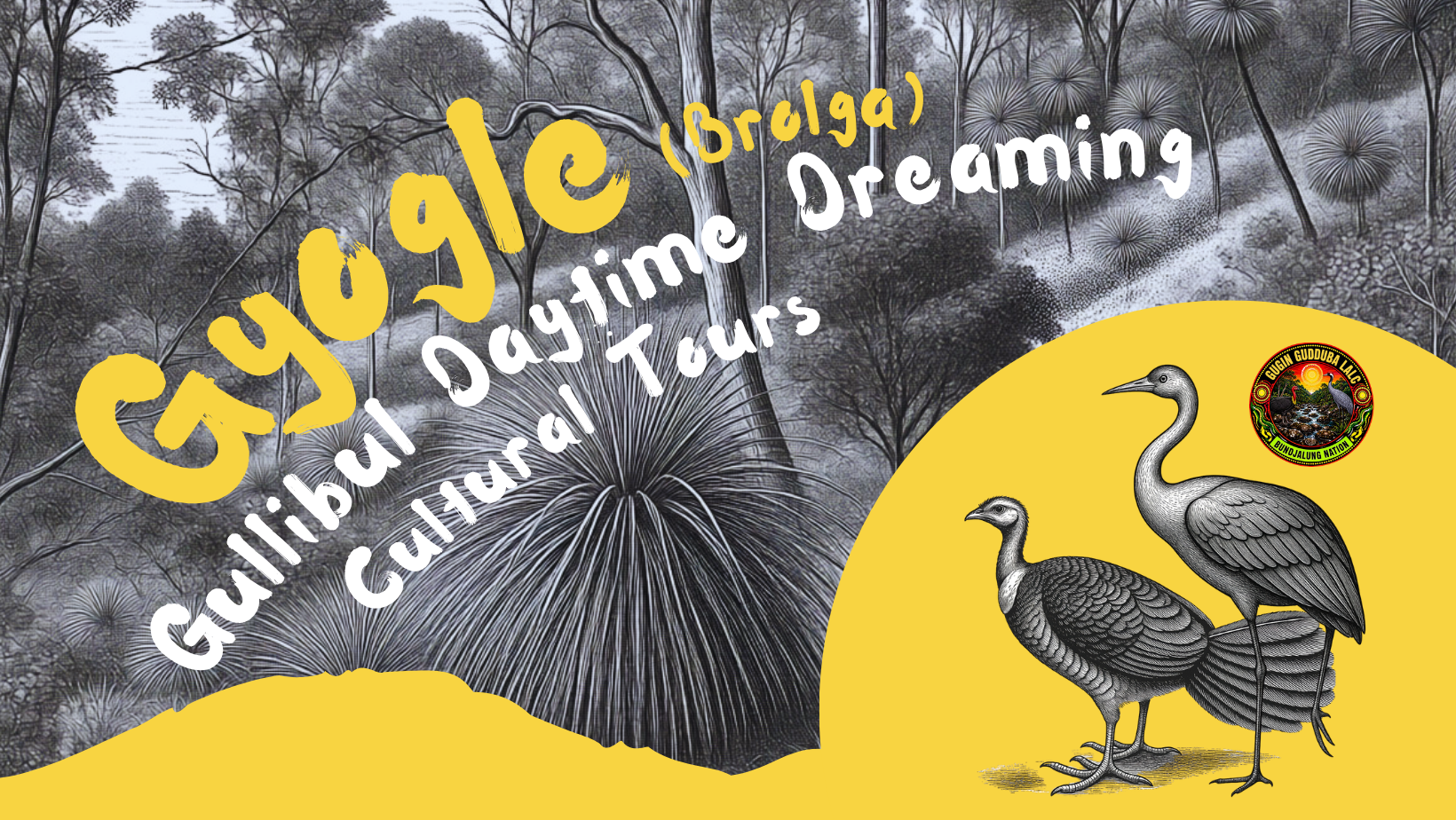 Gyogle | Gullibul Daytime Dreaming Cultural Tour