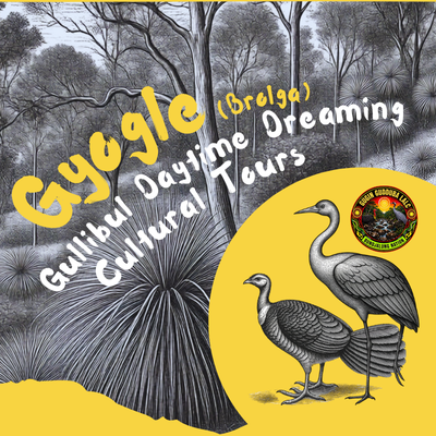 Gyogle | Gullibul Daytime Dreaming Cultural Tour