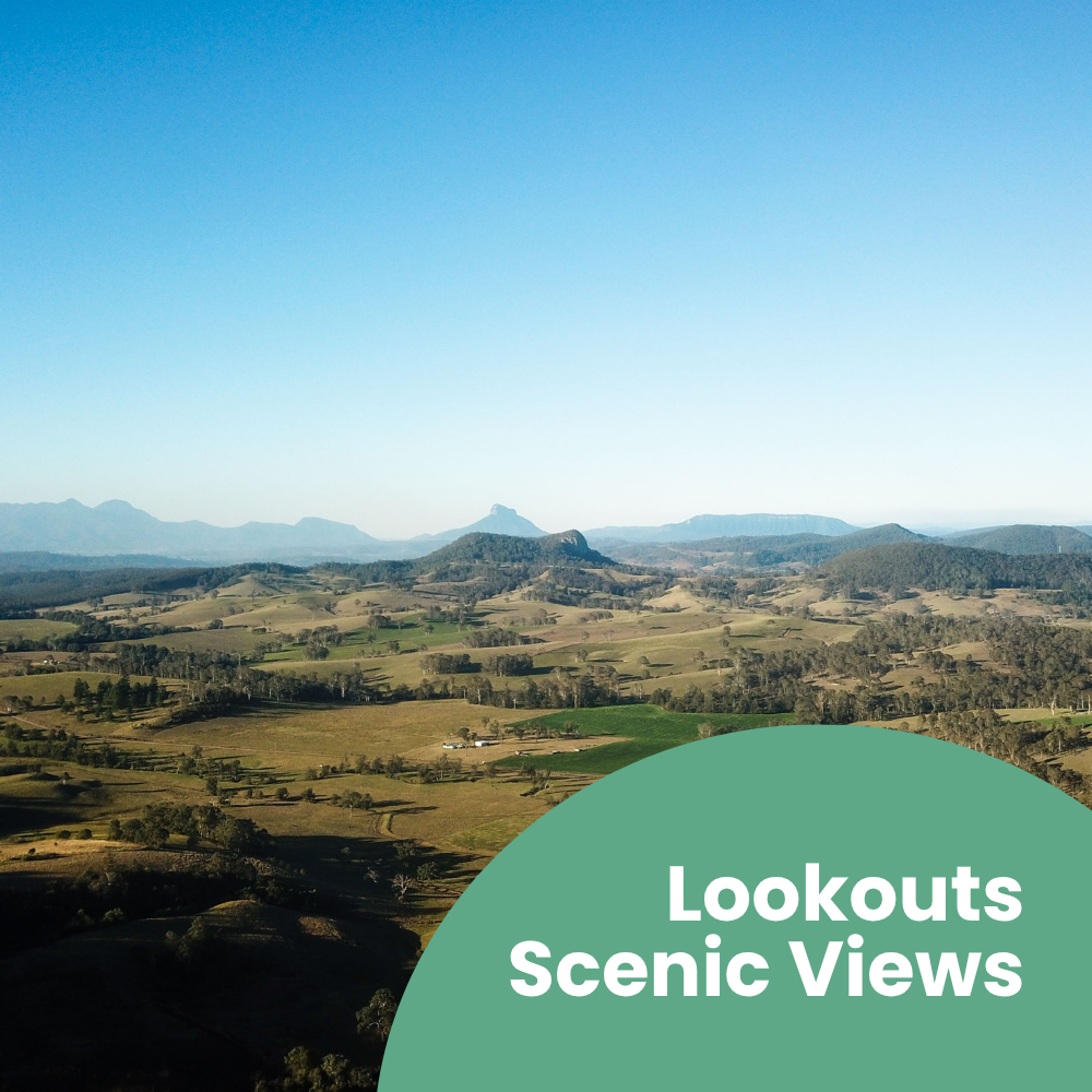 LookoutsScenicViews.png