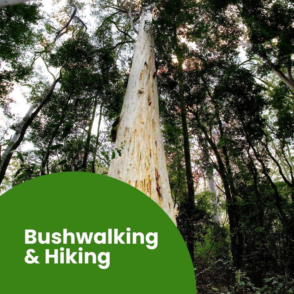 Bushwalking&Hiking.png