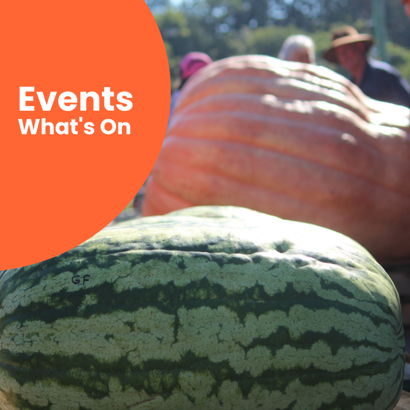 EventsWhat'sOn.png