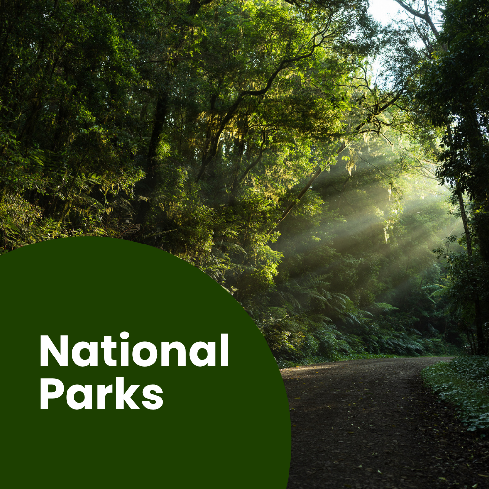 NationalParks.png