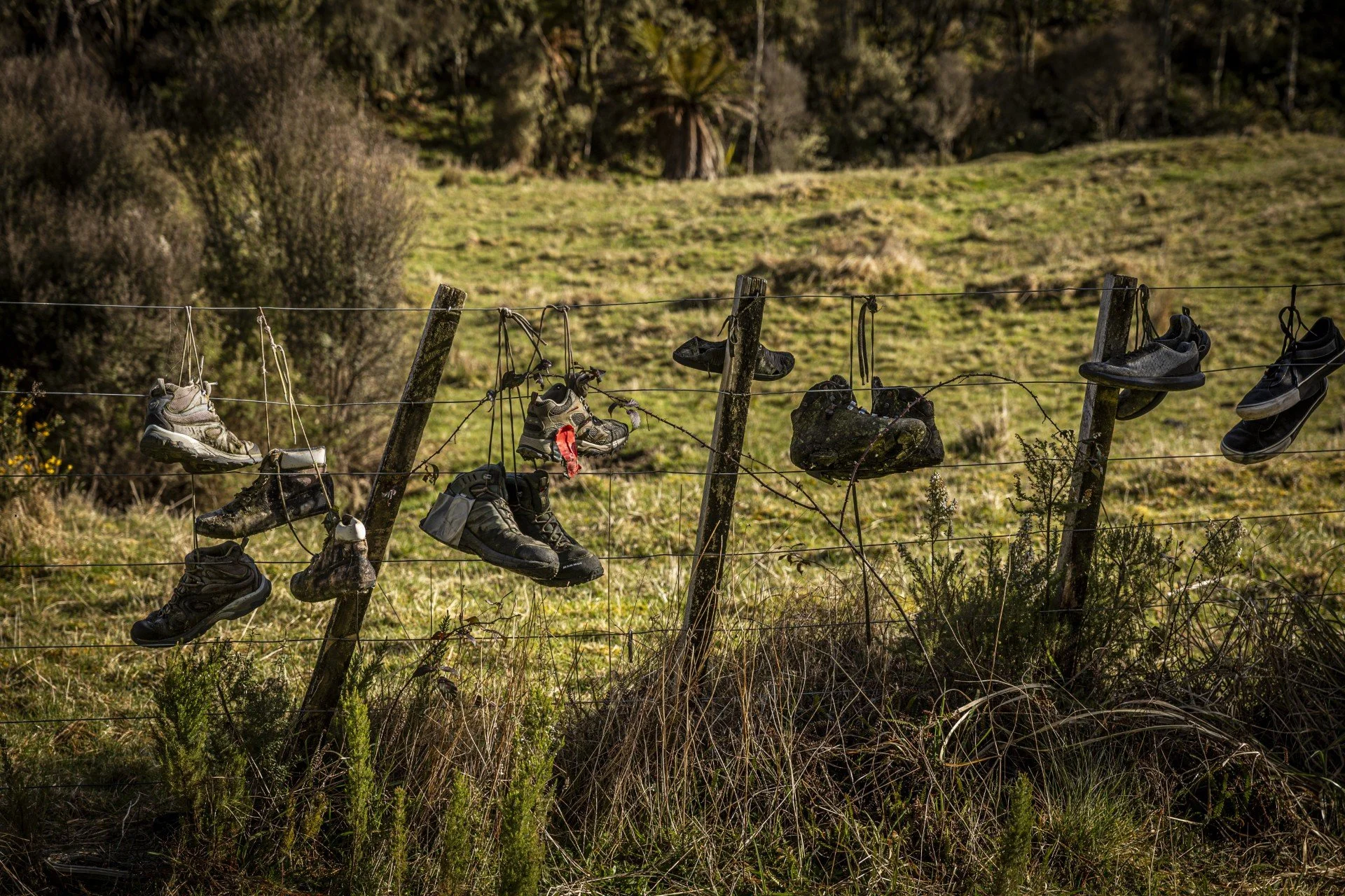 Old shoes hanging on a barbed wire fence in a grassy field with trees and hills in the background.
