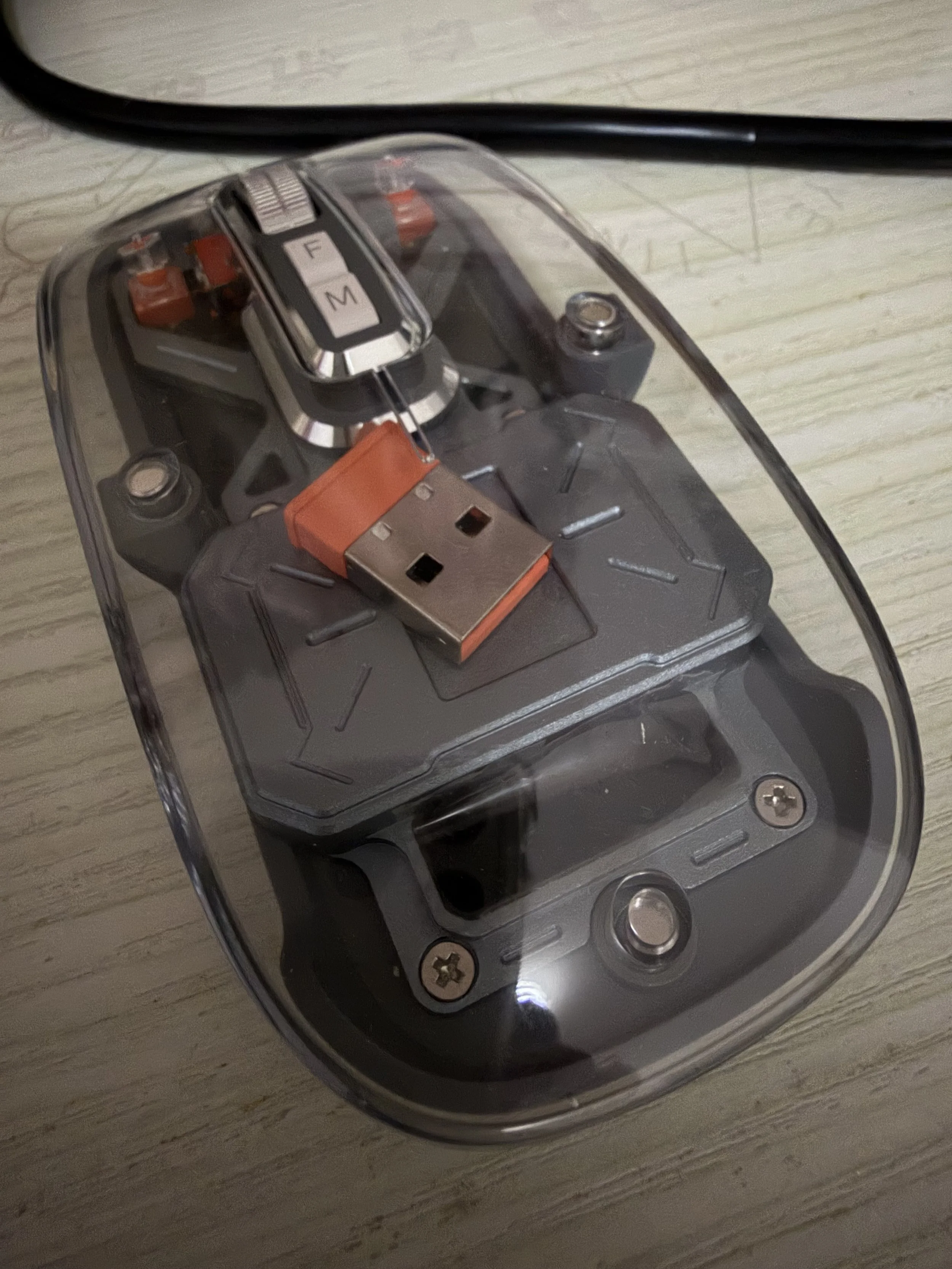 A transparent mouse
