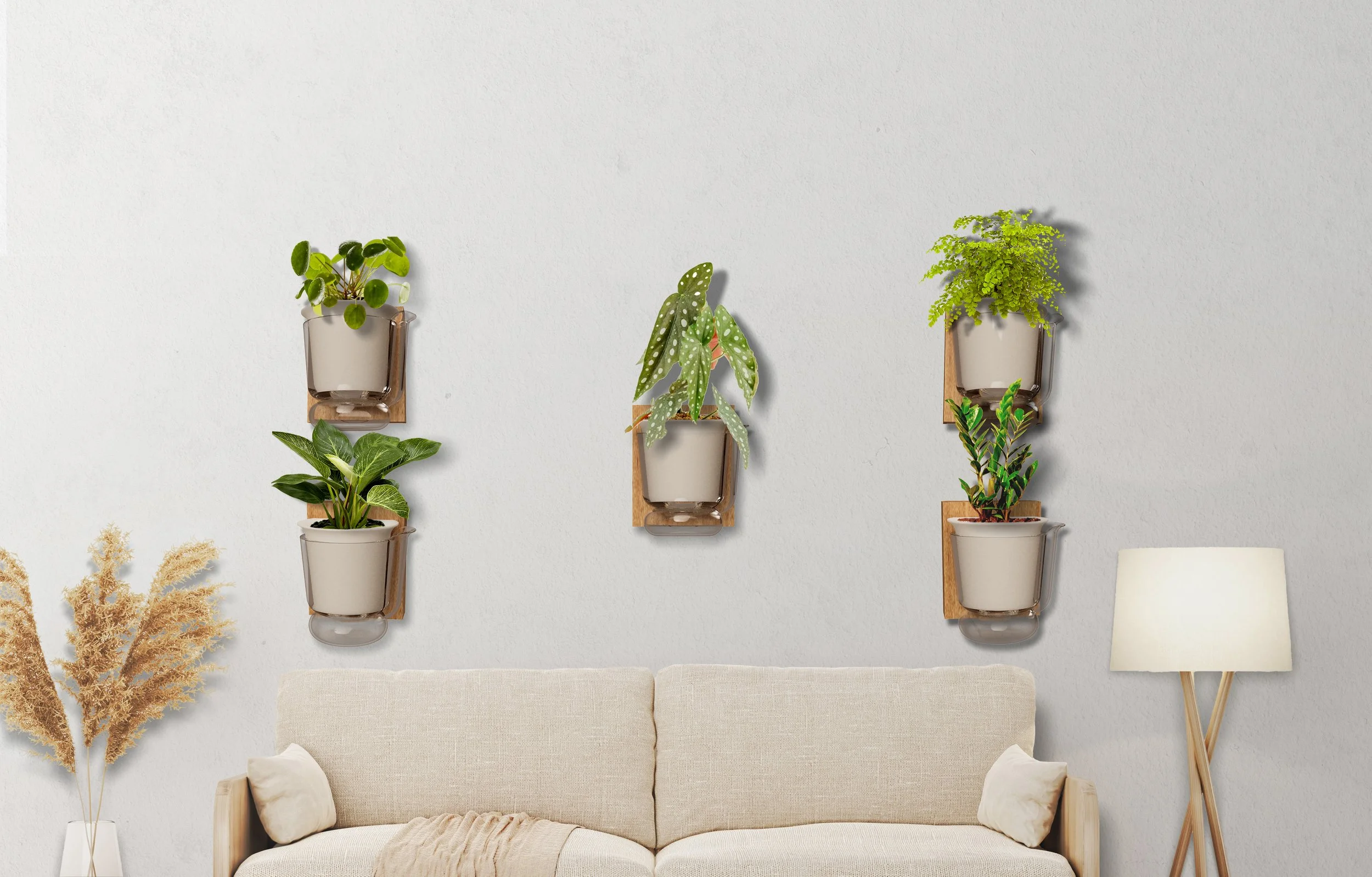 Verdant: Apartment Friendly Gardening