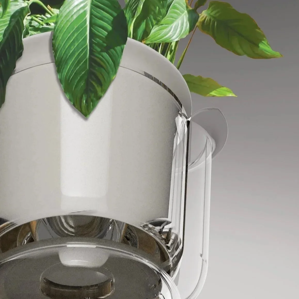 Verdant: Apartment Friendly Gardening