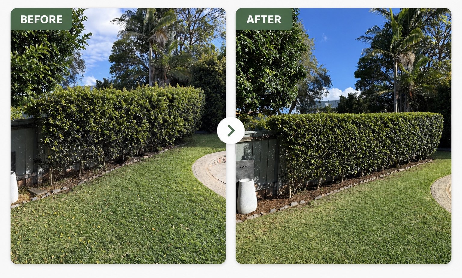 Before and after hedge trimming and garden pruning services by YardGuard Property Services