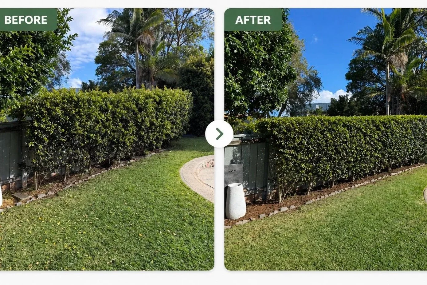 Before and after images of a garden with trimmed bushes, a curved concrete pathway, grassy lawn, and trees in the background.