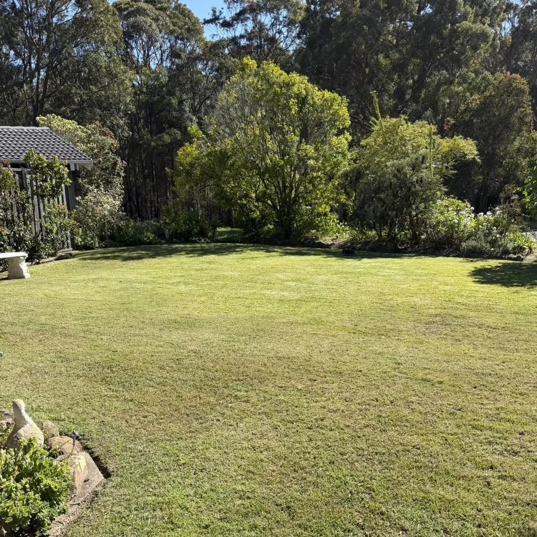 Sunny backyard lawn surrounded by trees, shrubs, garden beds, and a covered patio.