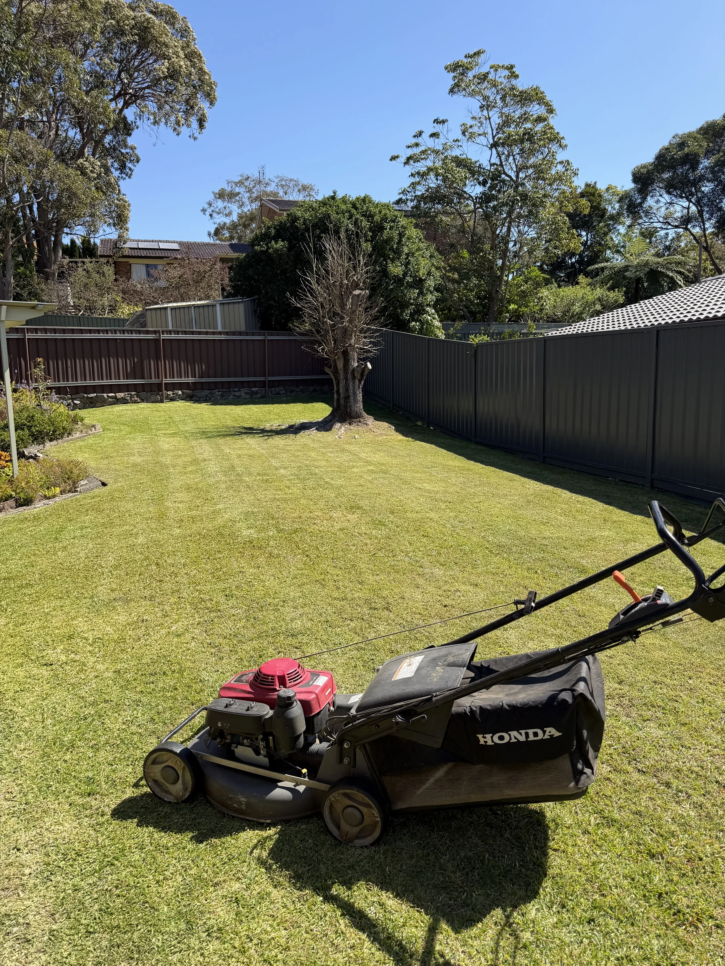 Professional lawn mowing service by YardGuard Property Services in Lake Macquarie and Newcastle.