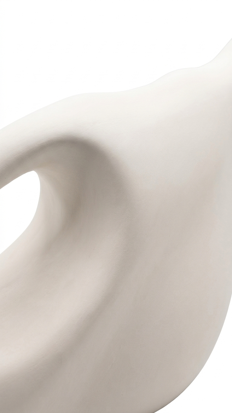 Gemini_Generated_Image_fgryrufgryrufgry 2.PNG