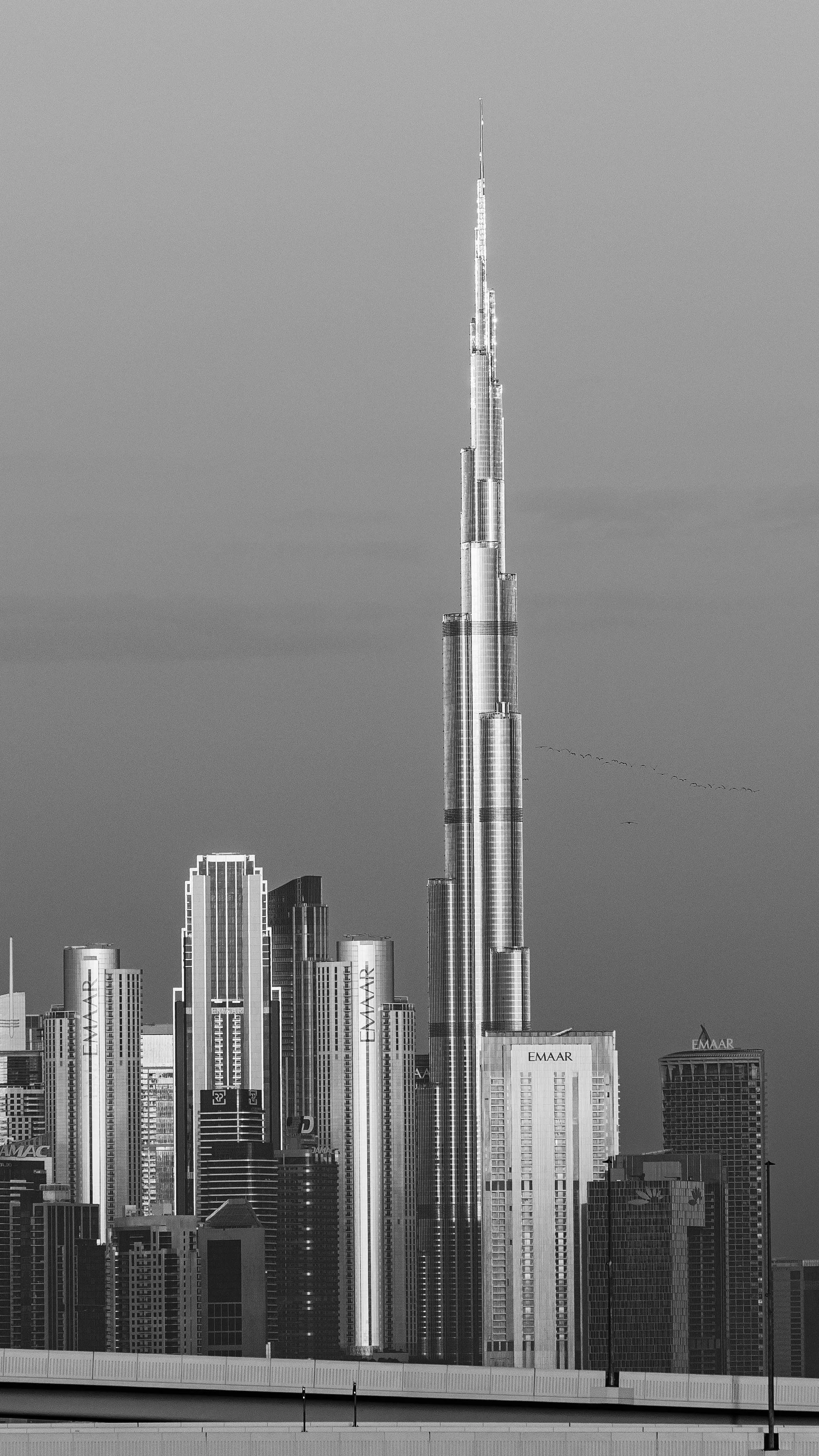 Business Formation Consultancy