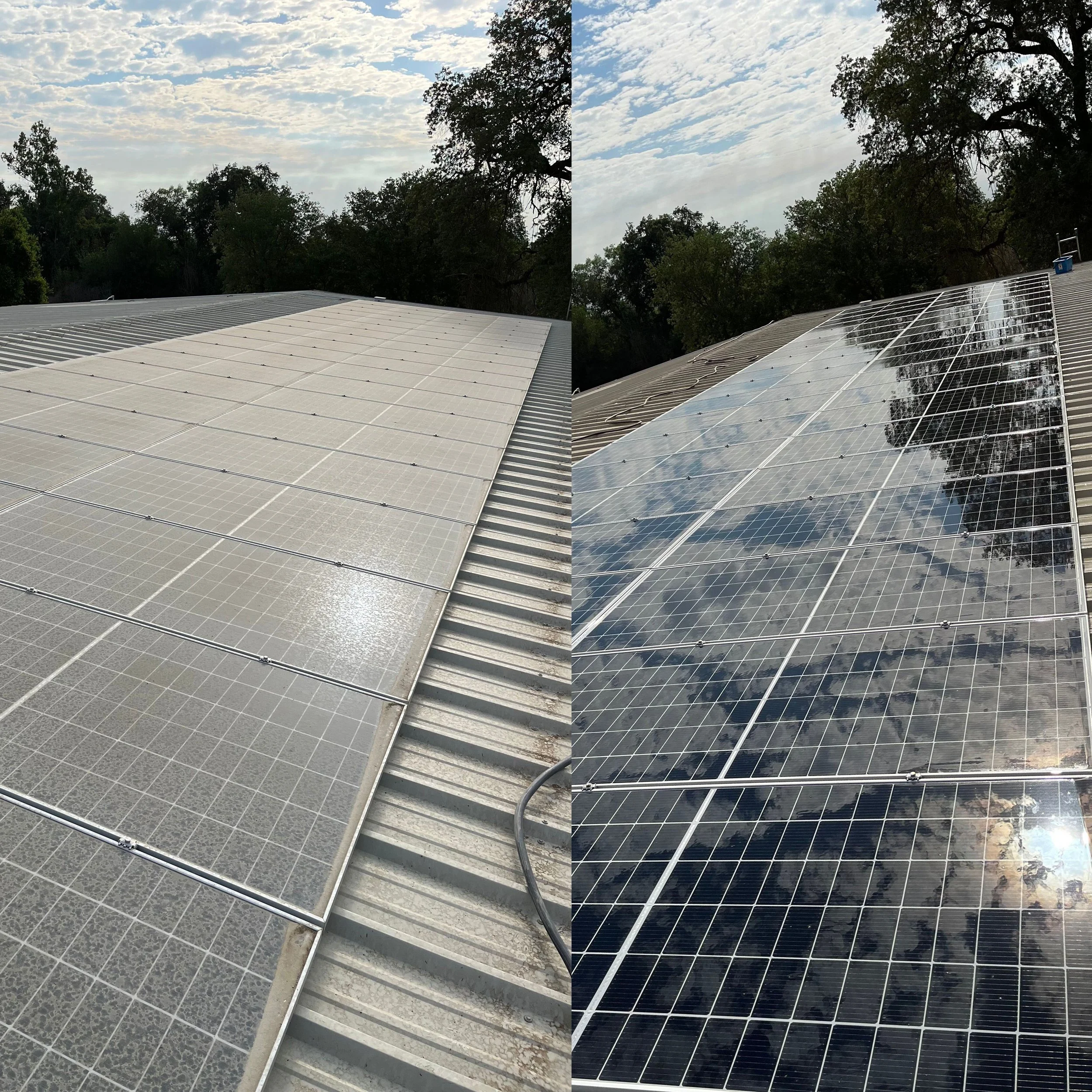 Solar Panel Cleaning