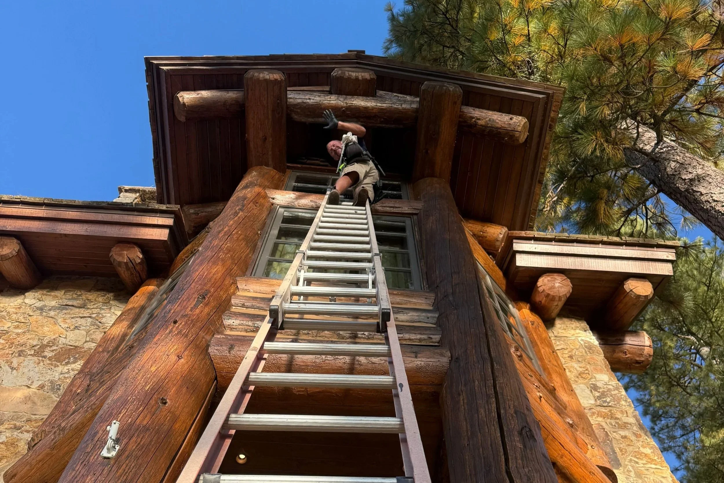 A person climbing a ladder towards the window of a wooden treehouse, surrounded by tall pine trees and blue sky.
