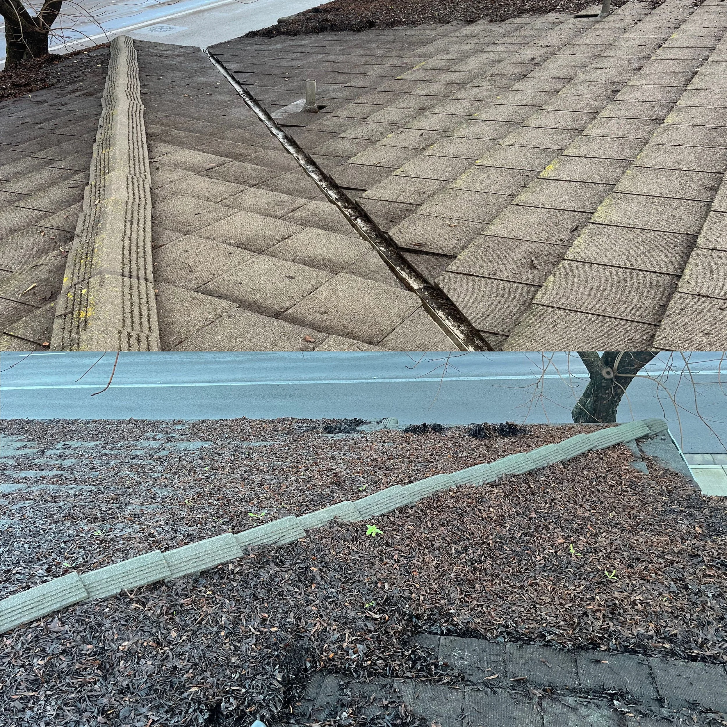 Roof Cleaning