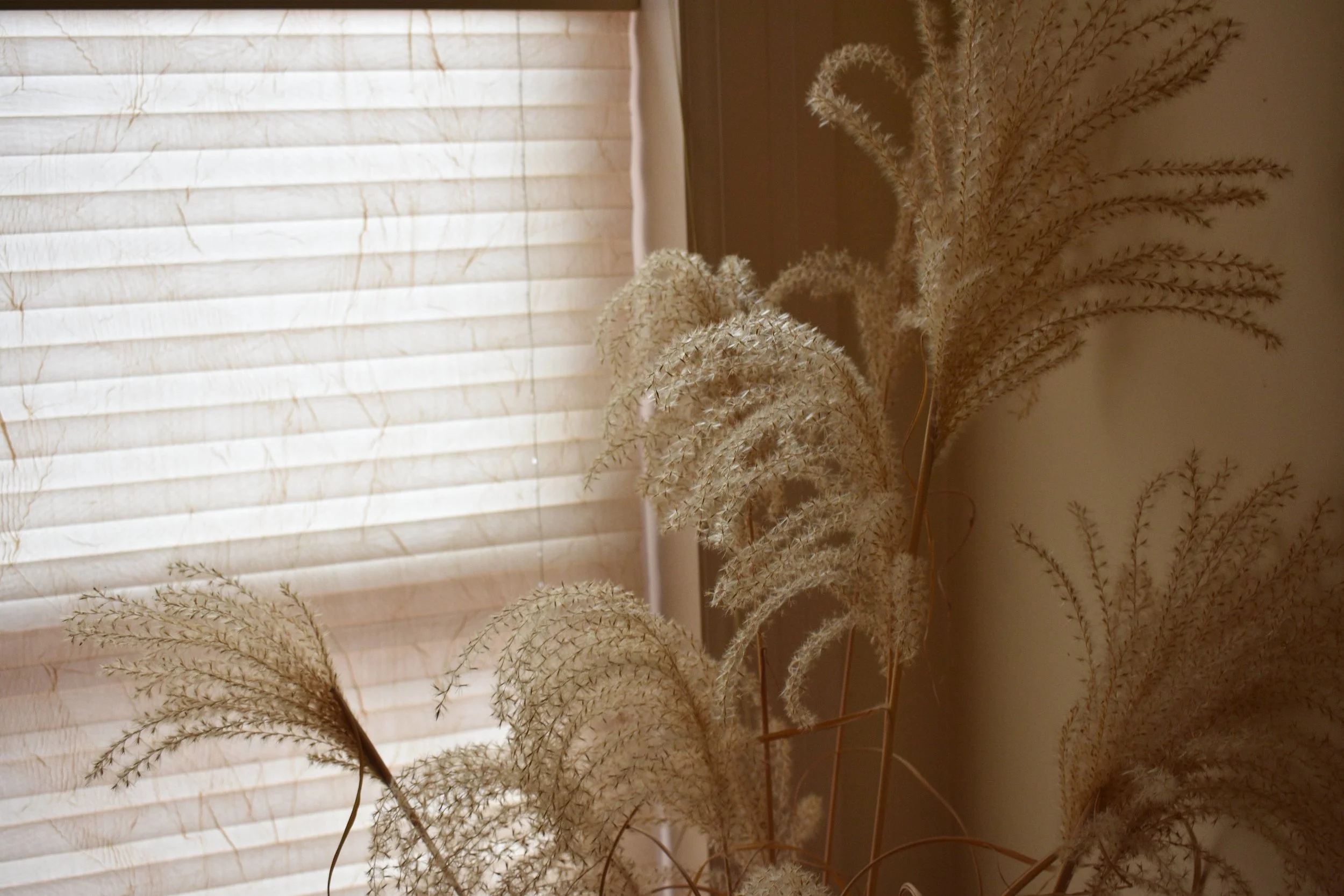 Neutral - Image capture and editing.JPG