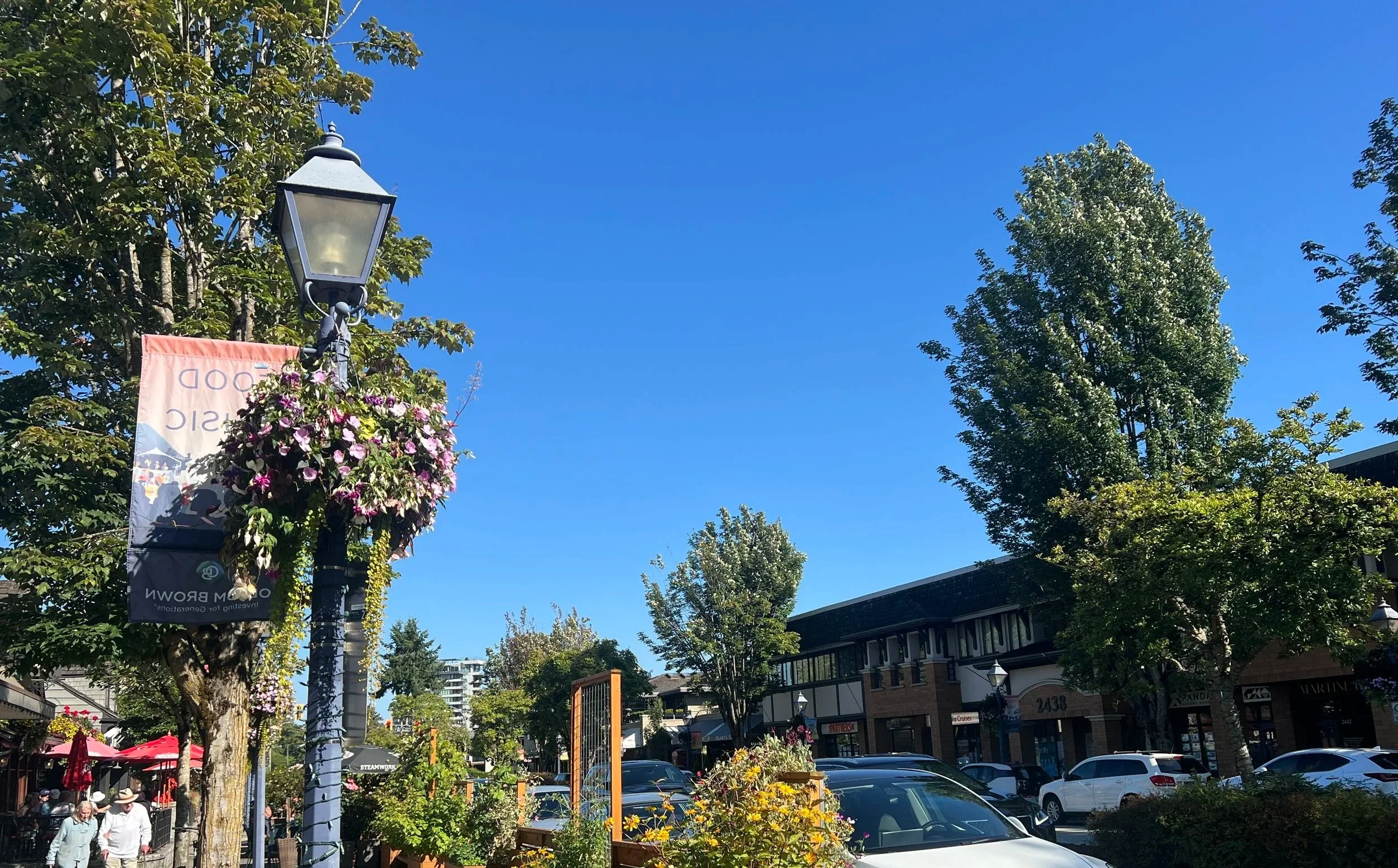 A street scene with a clear blue sky, trees, a lamppost decorated with a hanging flower basket, and shops in a shopping district with parked cars and pedestrians.