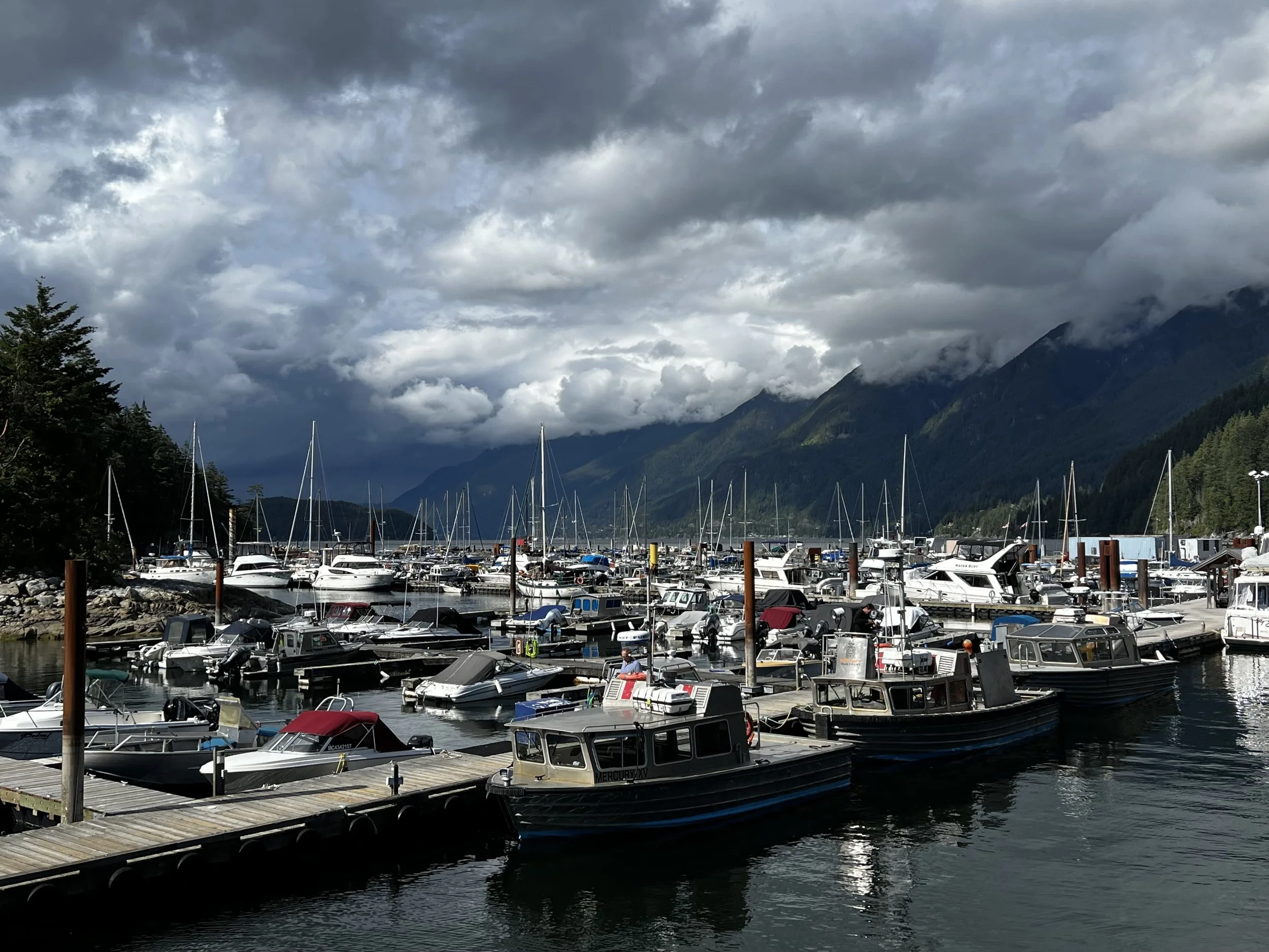 A marina with numerous boats docked, surrounded by mountains and cloudy sky.