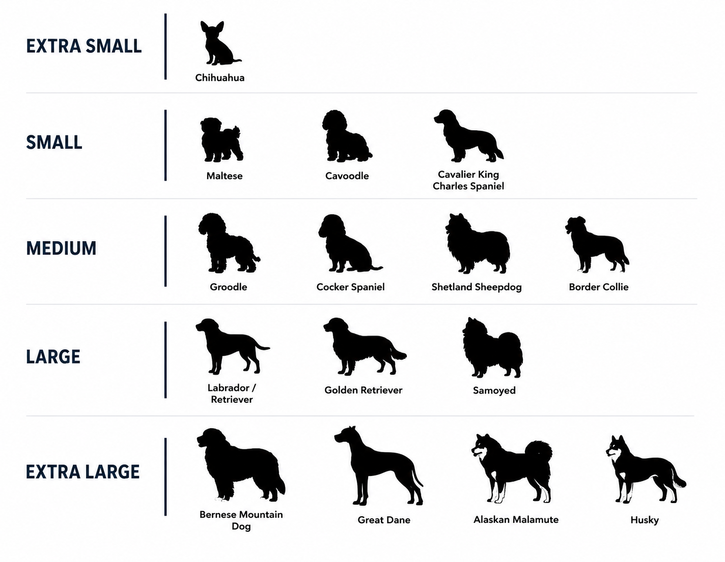 Chart displaying various dog breeds categorized by size from extra small to extra large, with a silhouette of a dog and breed names including Chihuahua, Maltese, Cavoodle, Cavalier King Charles Spaniel, Groodle, Cocker Spaniel, Shetland Sheepdog, Border Collie, Labrador Retriever, Golden Retriever, Samoyed, Bernese Mountain Dog, Great Dane, Alaskan Malamute, and Husky.