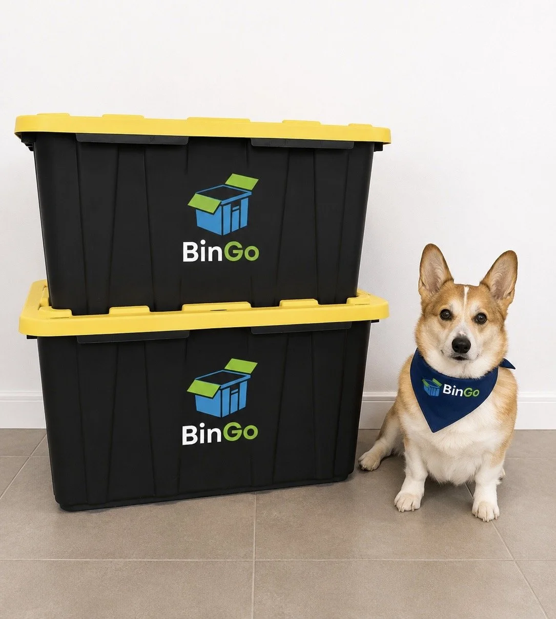 A dog wearing a blue bandana with a BinGo logo sitting next to two black storage containers with yellow lids, also branded with BinGo logos, against a white wall and tiled floor.