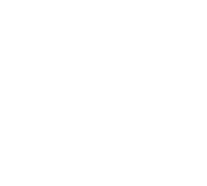 Support Icon