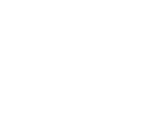 Heart Icon