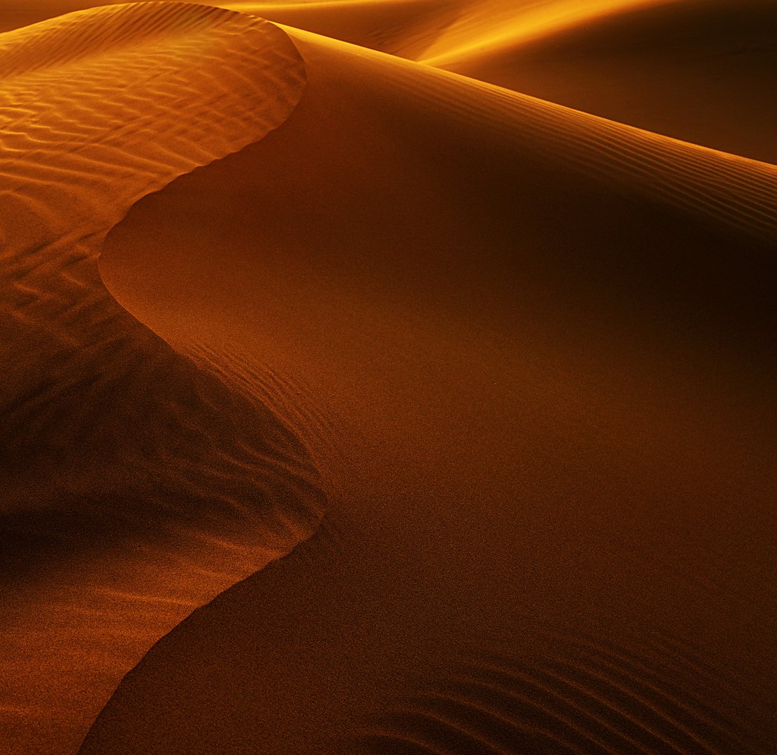 Lights and shadows in the sand dunes