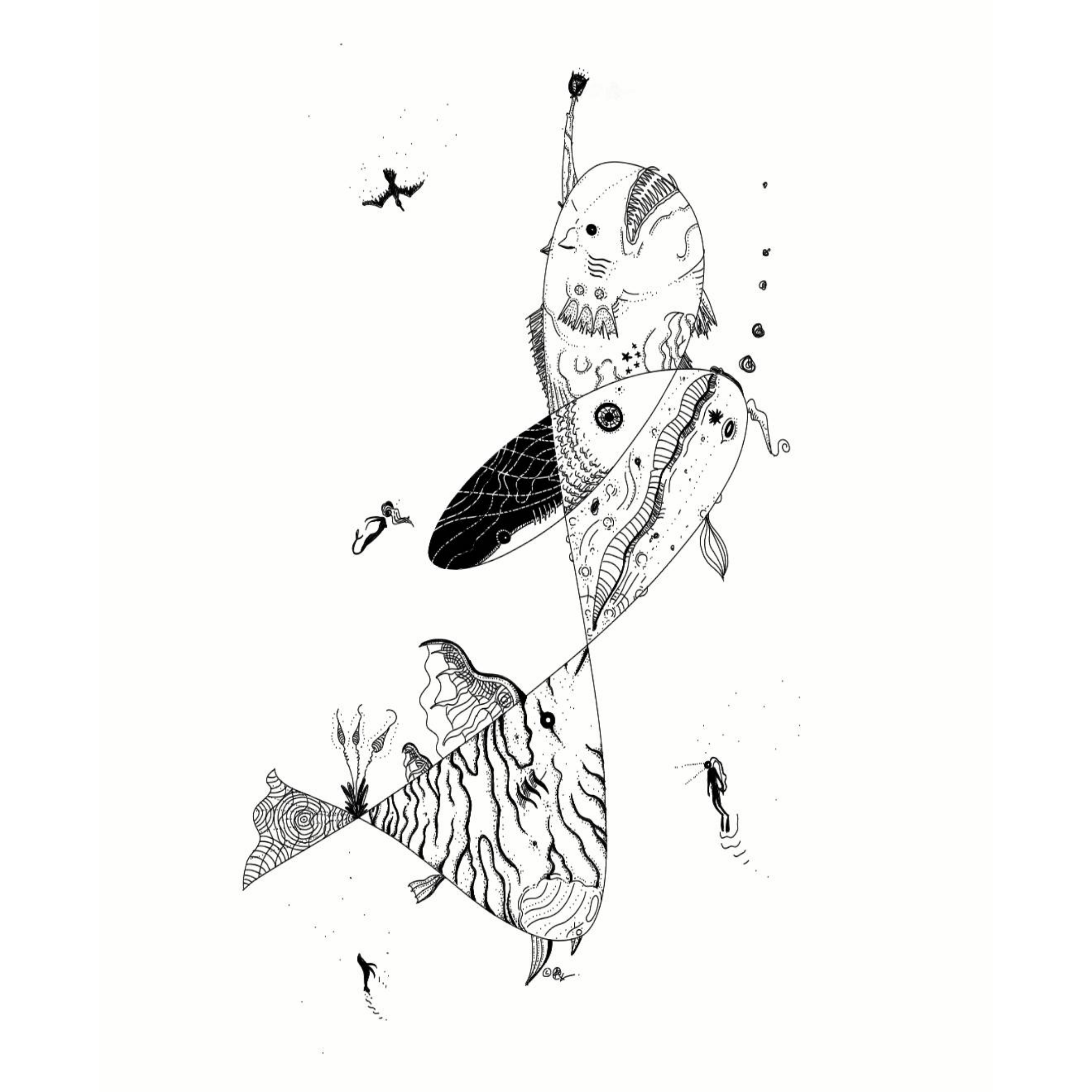 finger-drawn black and white illustration of five fish in a swirling formation, including an anglerfish and koi, surrounded by a scuba diver and mermaid