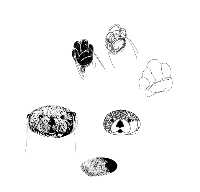 black and white sketch of sea otter faces, paws, and fur texture