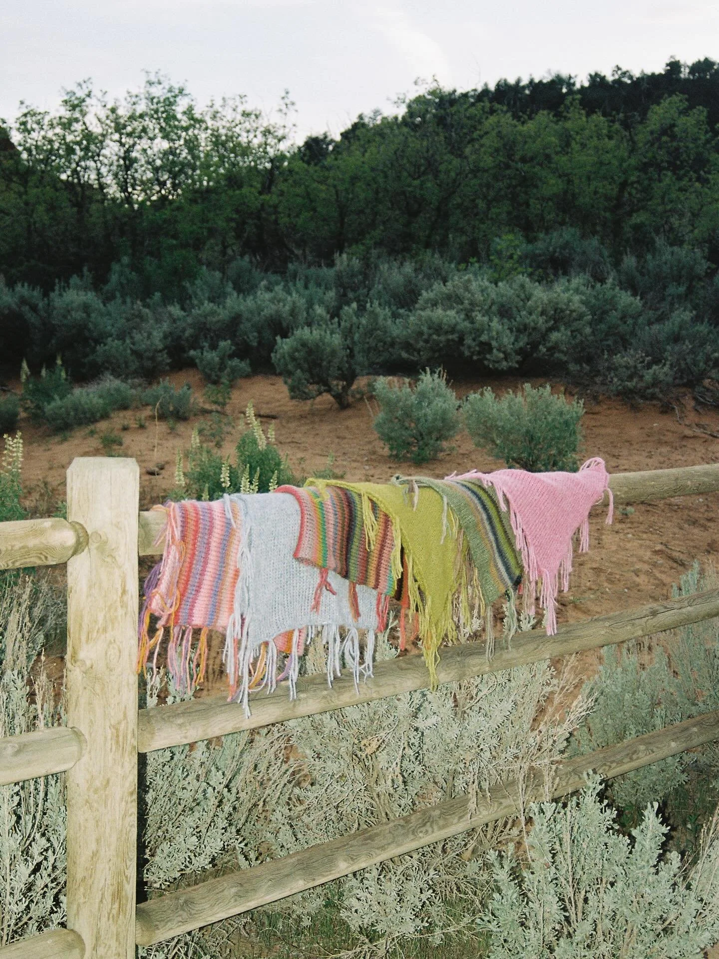 the ponchos needed a spot on the feed