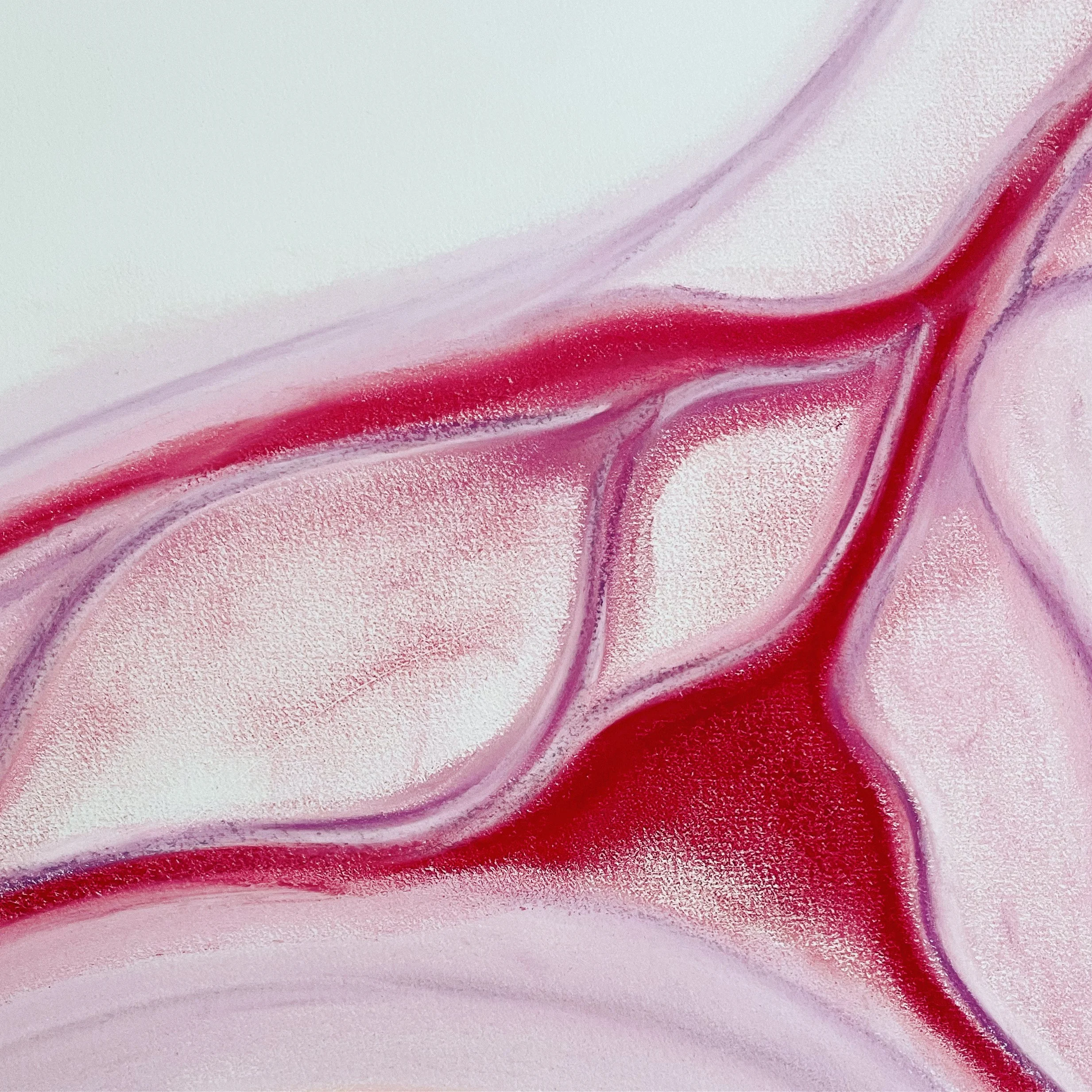 B4CB7444-D04A-4381-B59B-DF791210DF0E 2.JPG