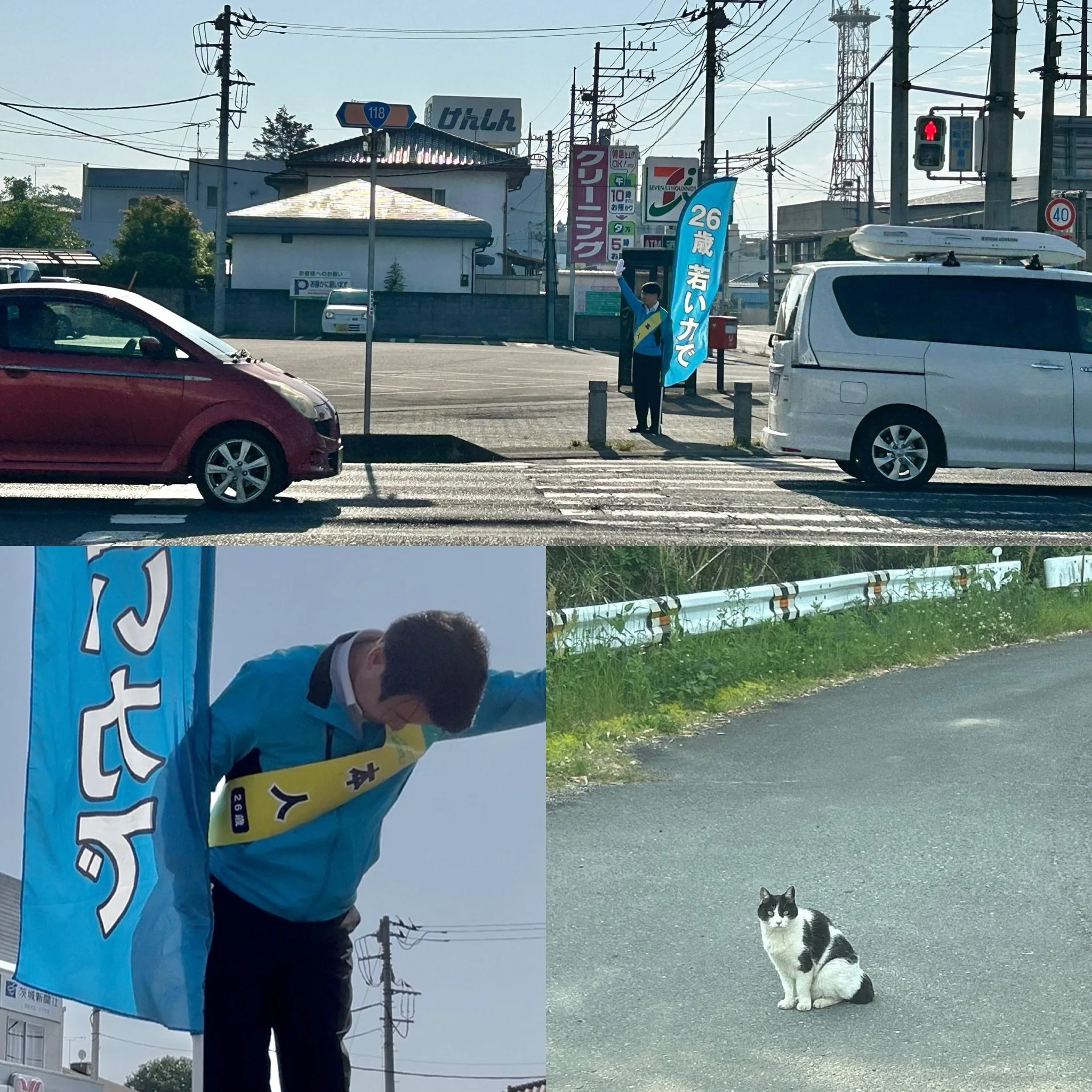 この頃は、辻立ちの際にわざわざ車を停めて声をかけてくださる方が何人かいらっしゃいます。手を振ってくださる方も増えてきたように感じます。毎朝、大変励まされています。ありがとうございます。
そして今日は車で移動中、猫に通せんぼされました。

#26歳若い力で 
#ブラッシュアップ常陸大宮
#常陸大宮市