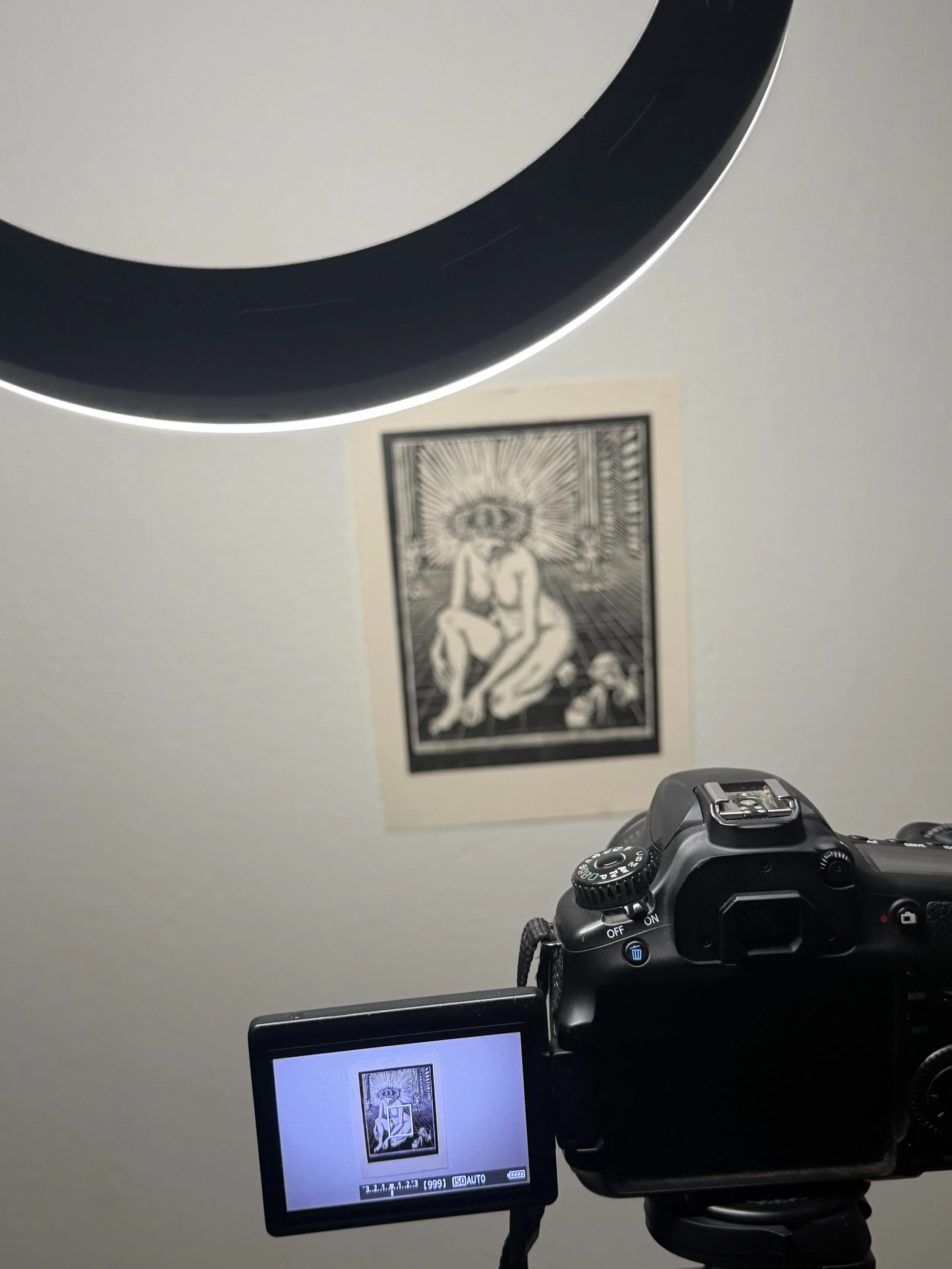 IMG_9141.jpeg