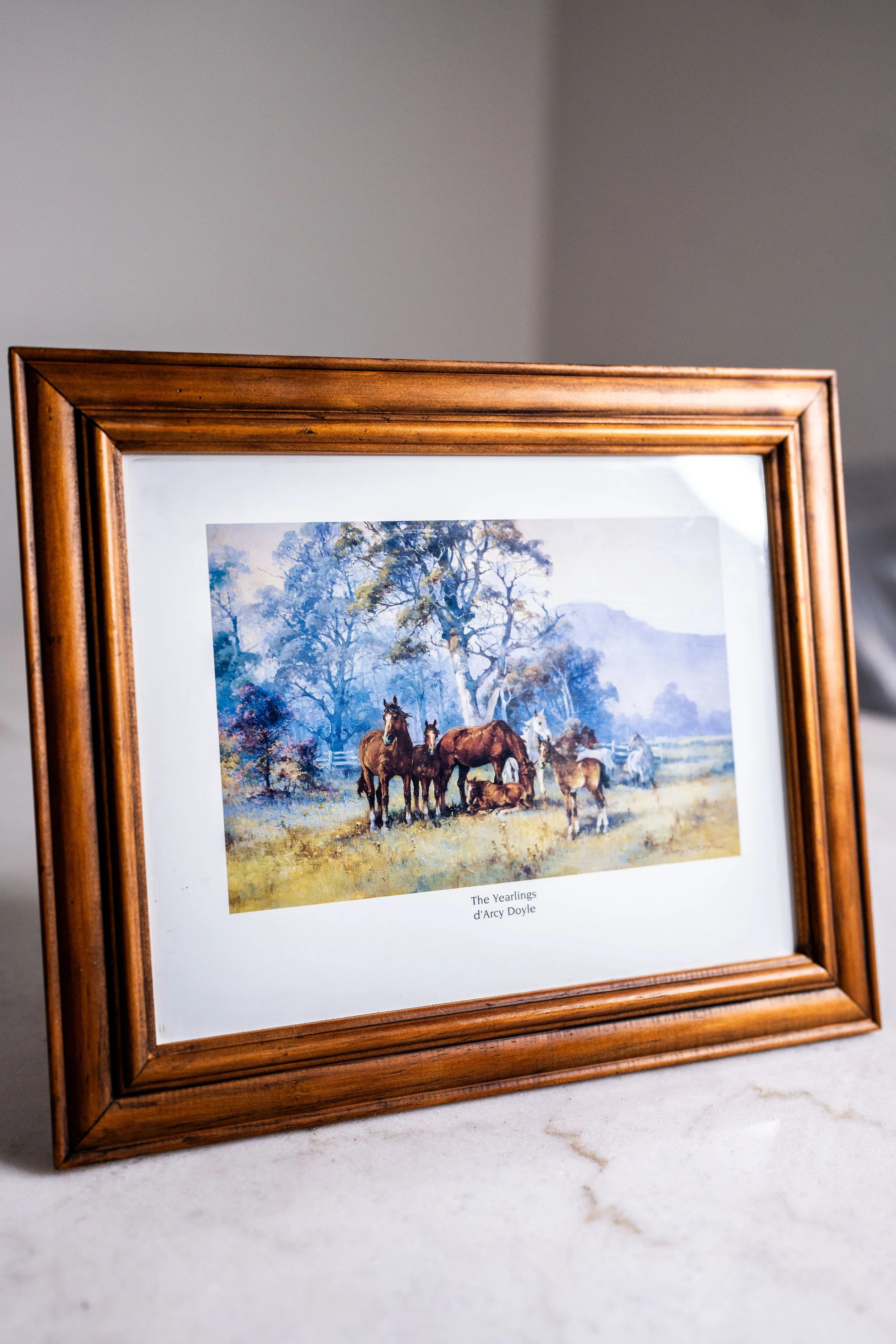 Framed d'Arcy Doyle "The Yearlings" Art Print (30.5cm x 25.5cm)