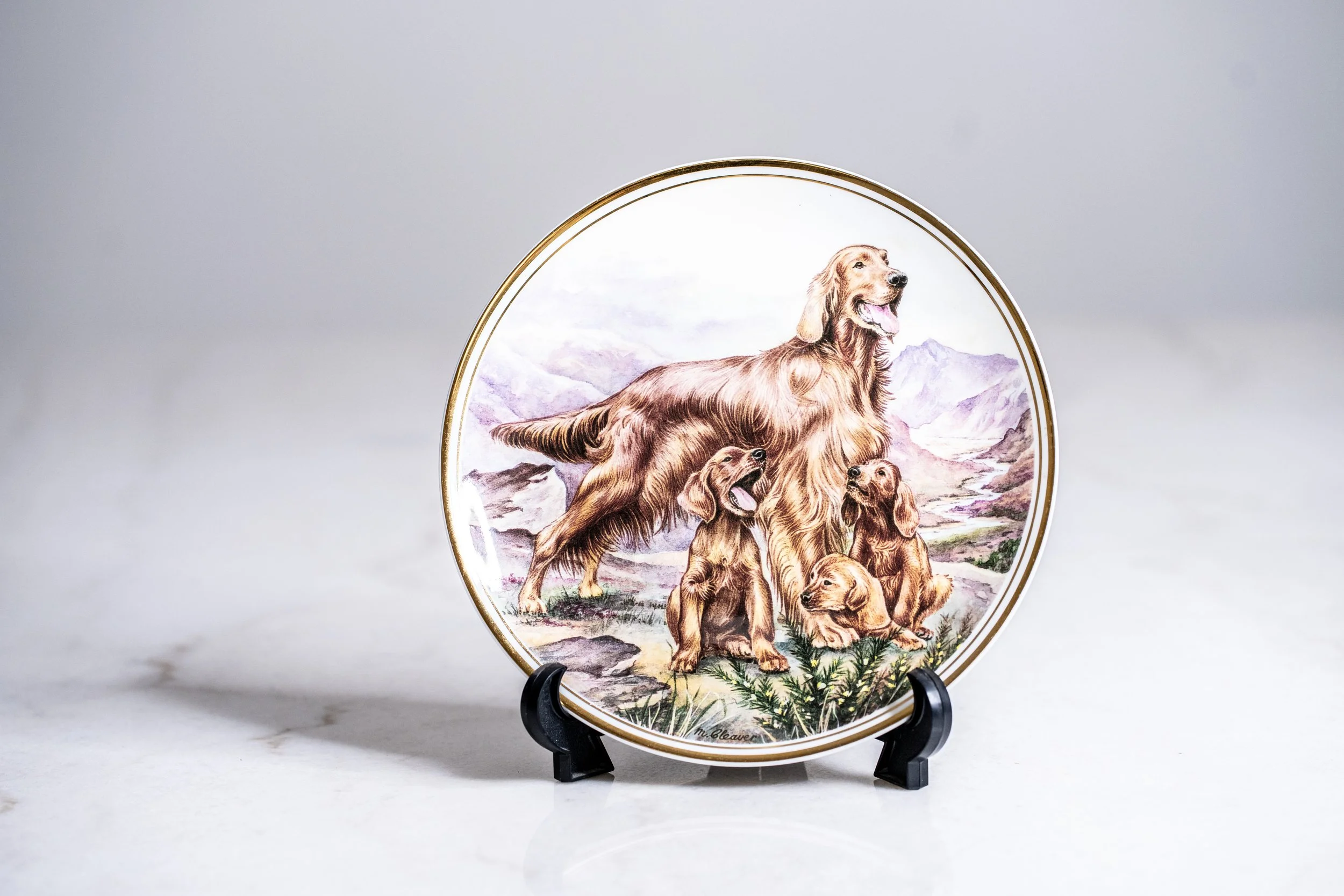 Vintage Norfolk China England "Irish Setter Family & Puppies" Collector Plate