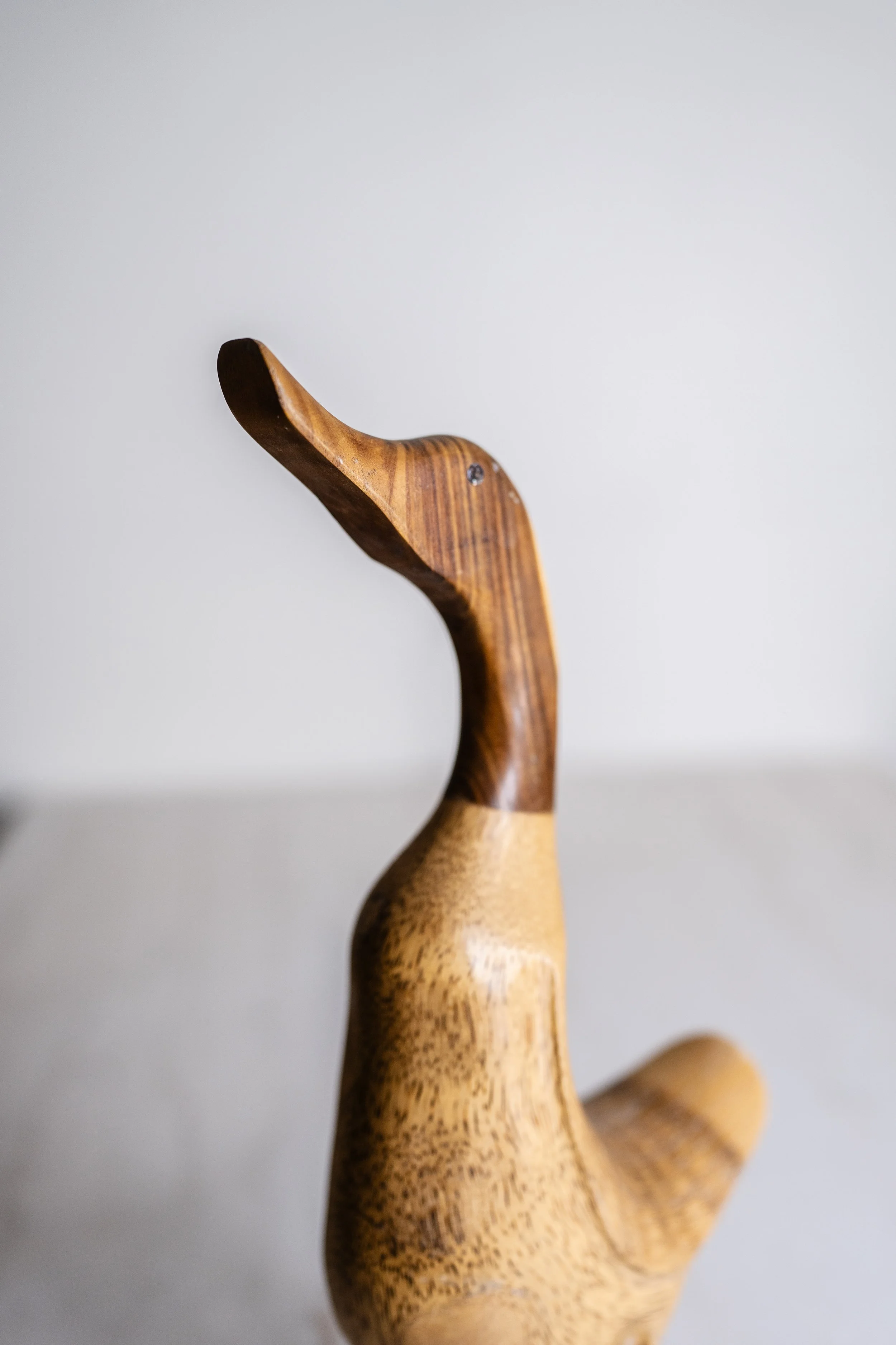 HOMEWARES 29072026-165.jpg
