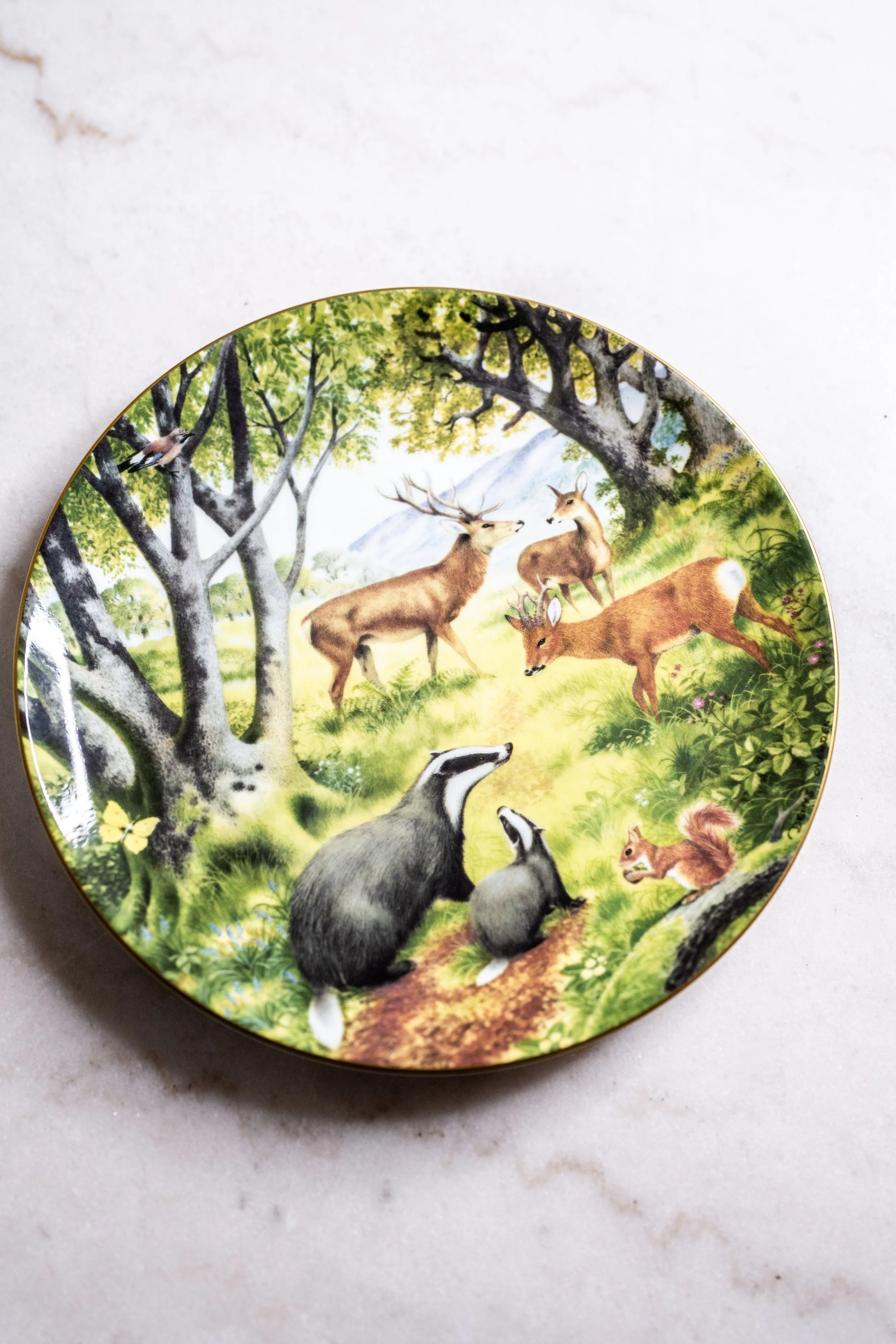 Vintage 1987 Coalport 'Mammals' Limited Edition Collector Plate by Denys Ovenden