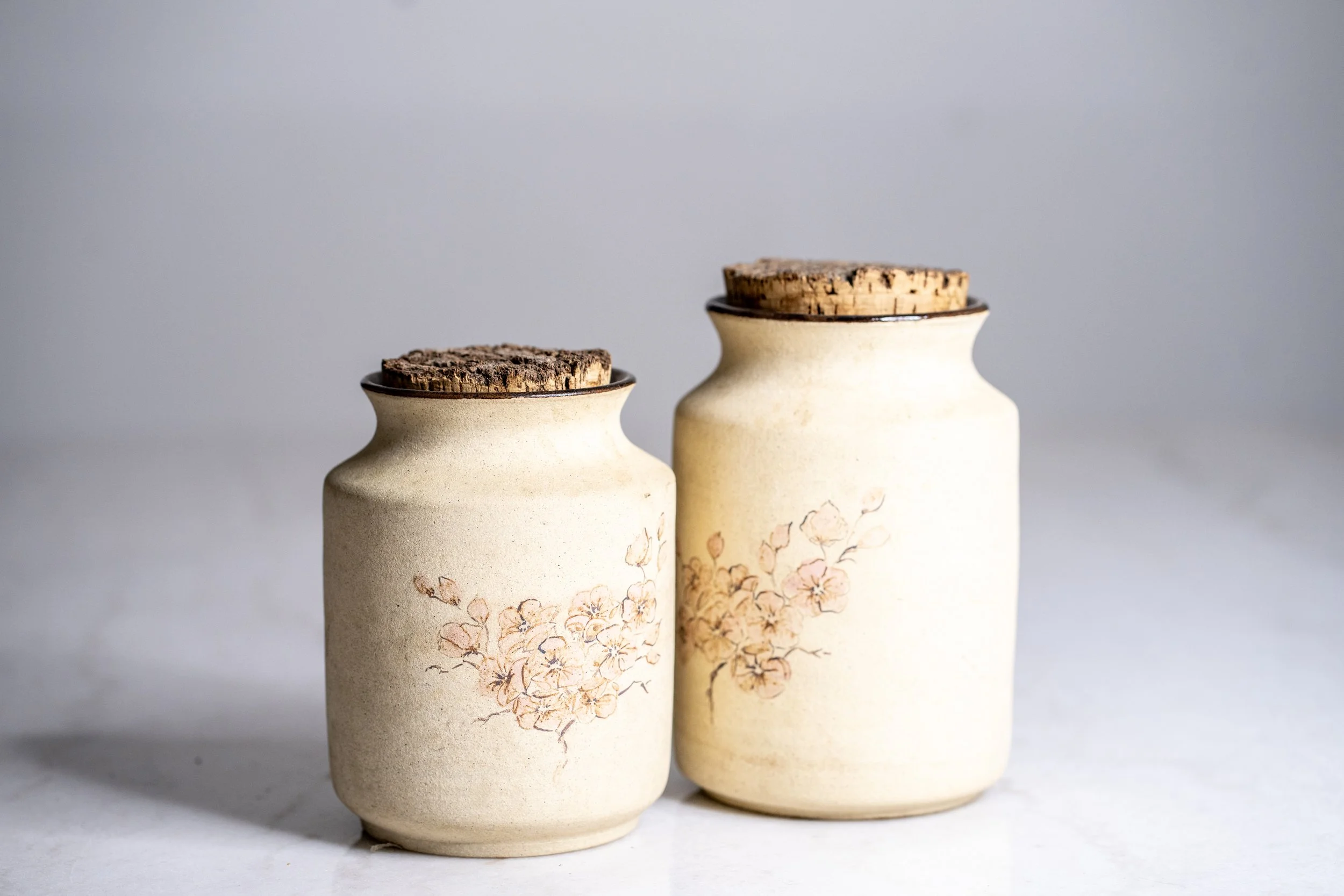 Vintage Bulls Hill Pottery Sydney Handpainted Canisters Set of 2