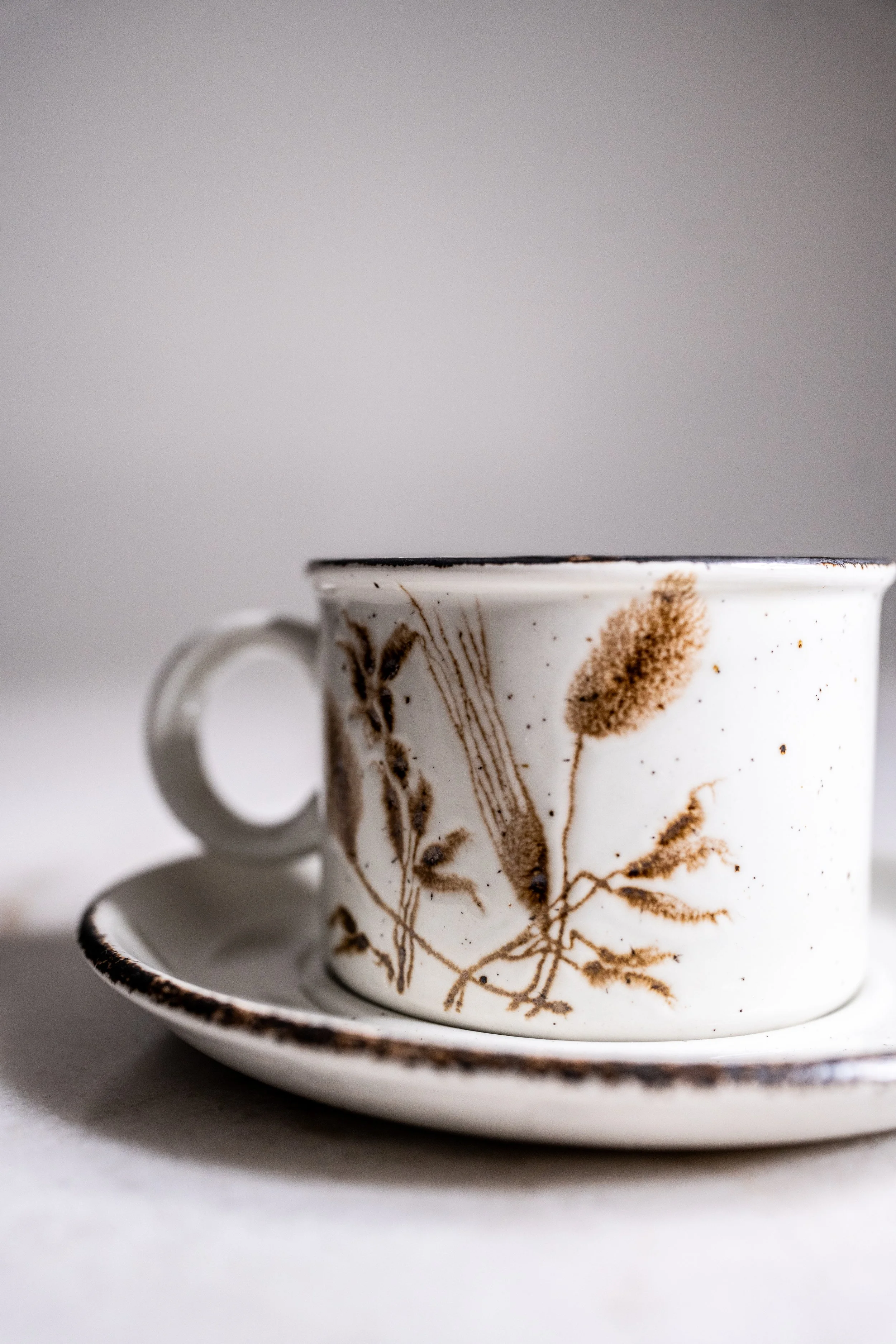 Vintage 1970s Midwinter Stonehenge "Wild Oats" Stoneware Cup and Saucer Duo Set - Made in England
