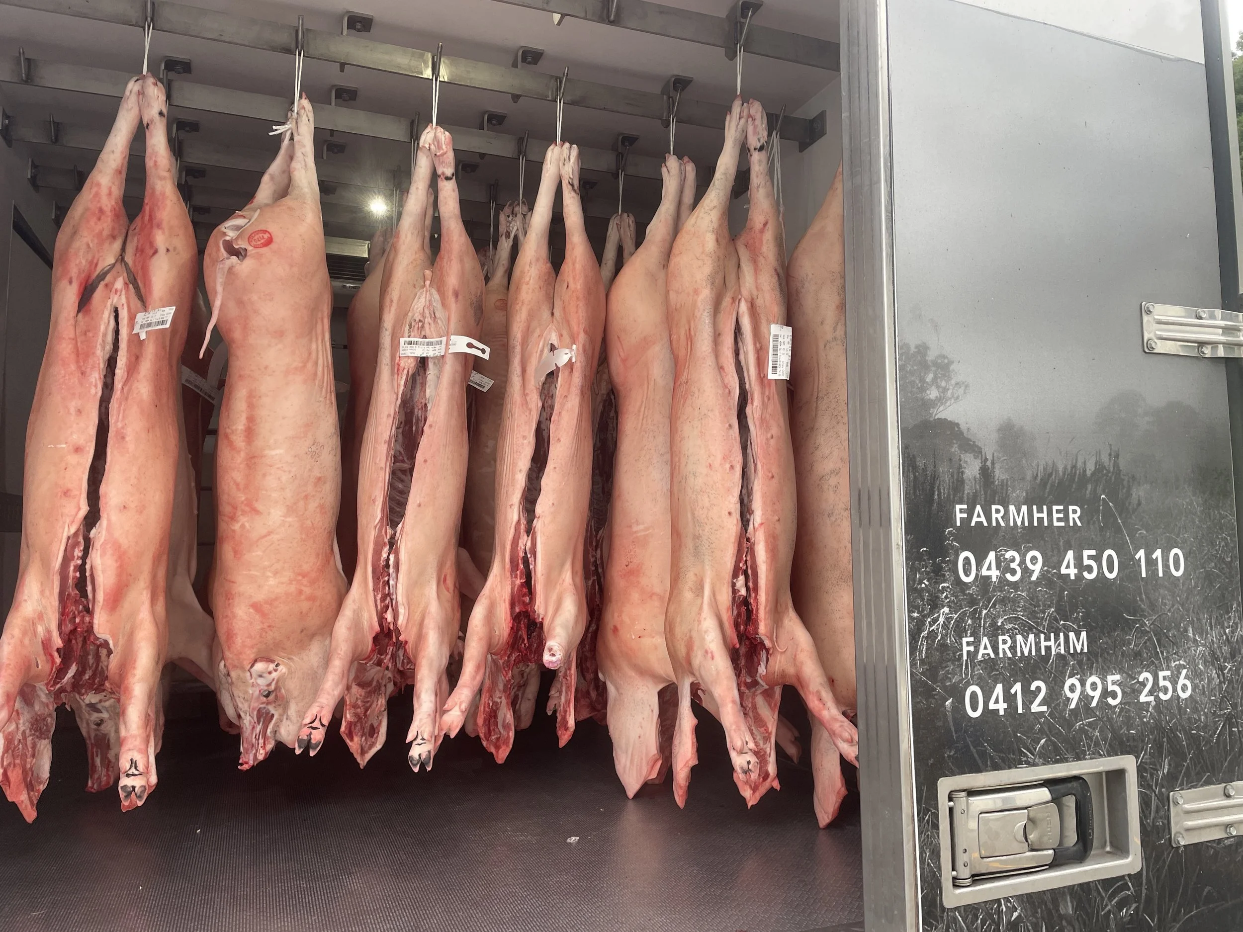 A load of pork carcasses