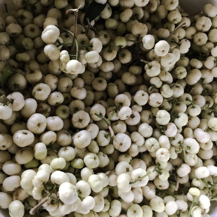 Lemon Aspen fresh fruit per kilo