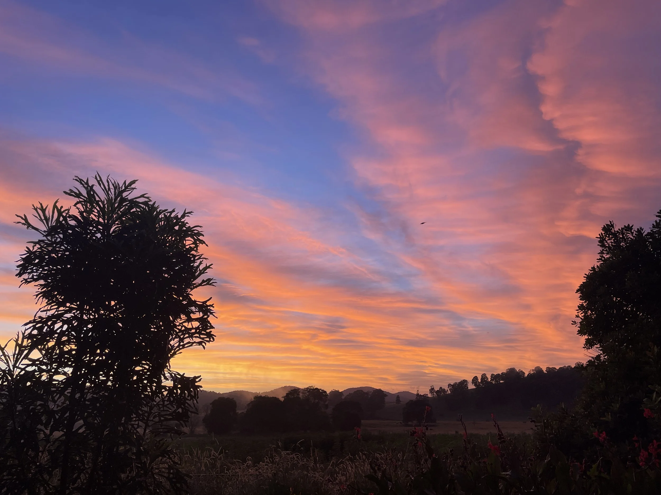 A glorious sunrise