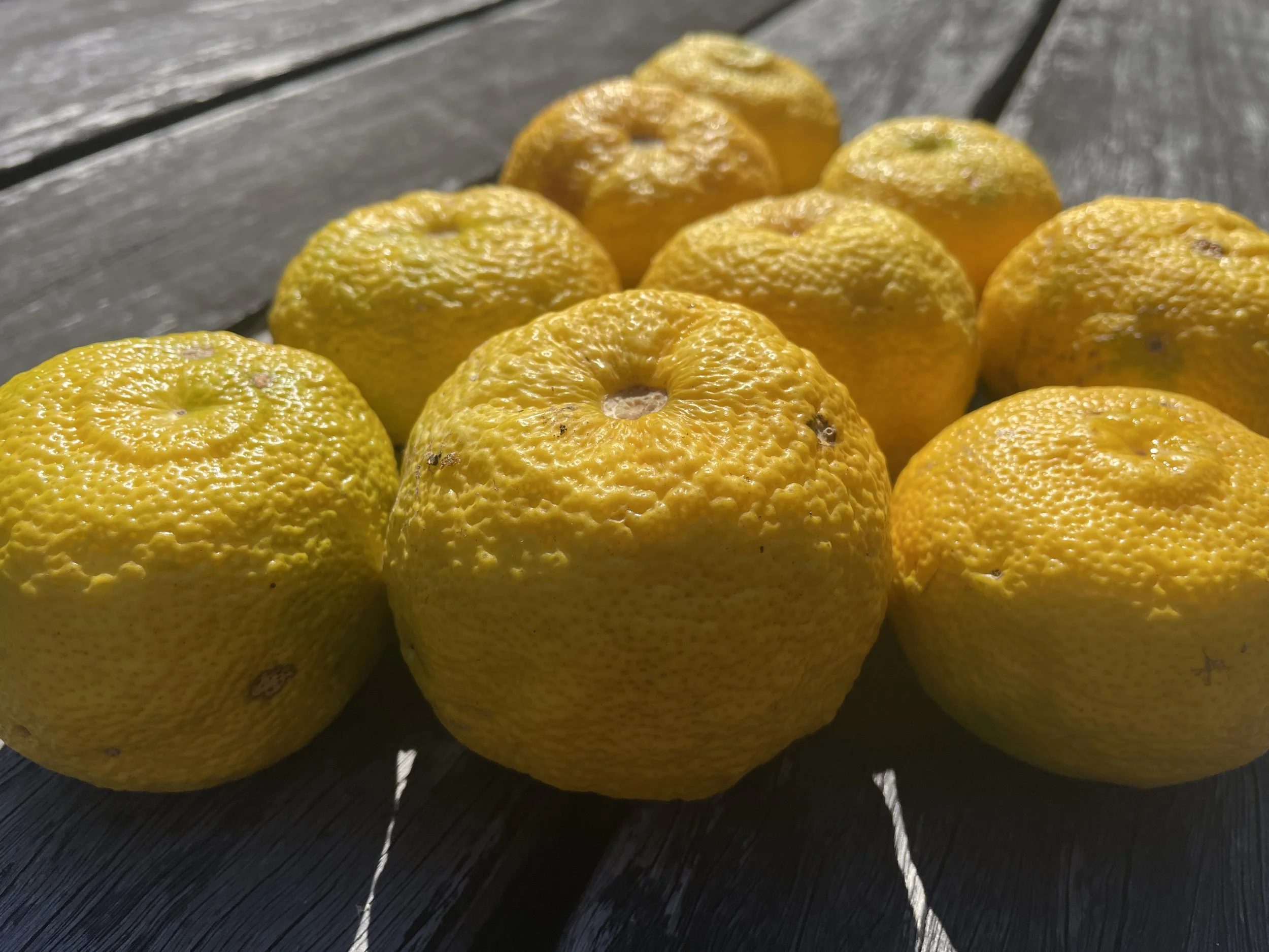 Do you yuzu?