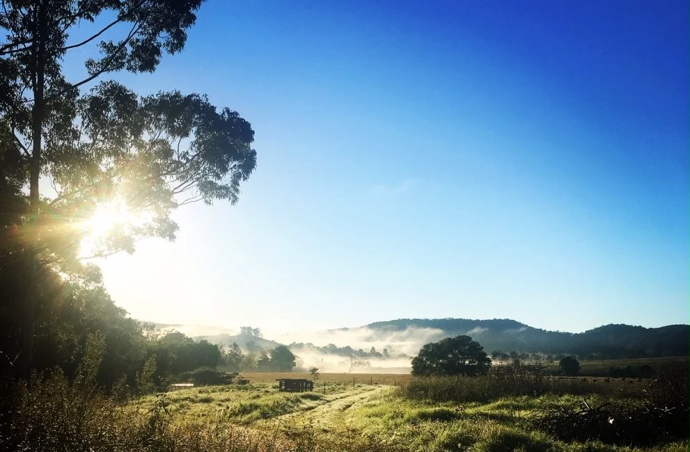 A scenic landscape with the sun peeking through trees on the left, a grassy field with a dirt path, distant hills, and mist or fog at the base of the hills under a clear blue sky.