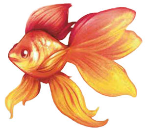 The Secret of the Goldfish | Catholic Middle-Grade Mystery Novel