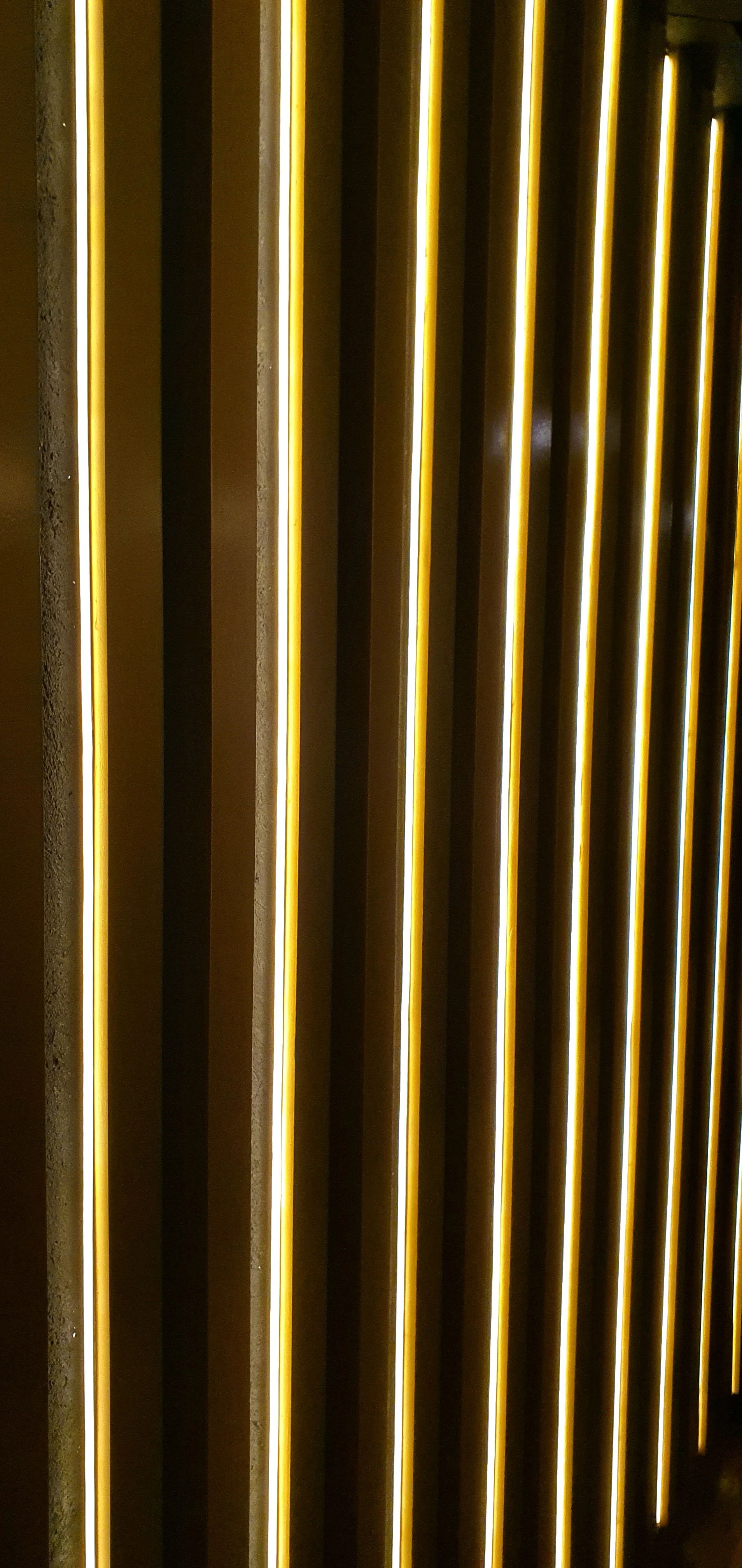 20211214_202353.jpg