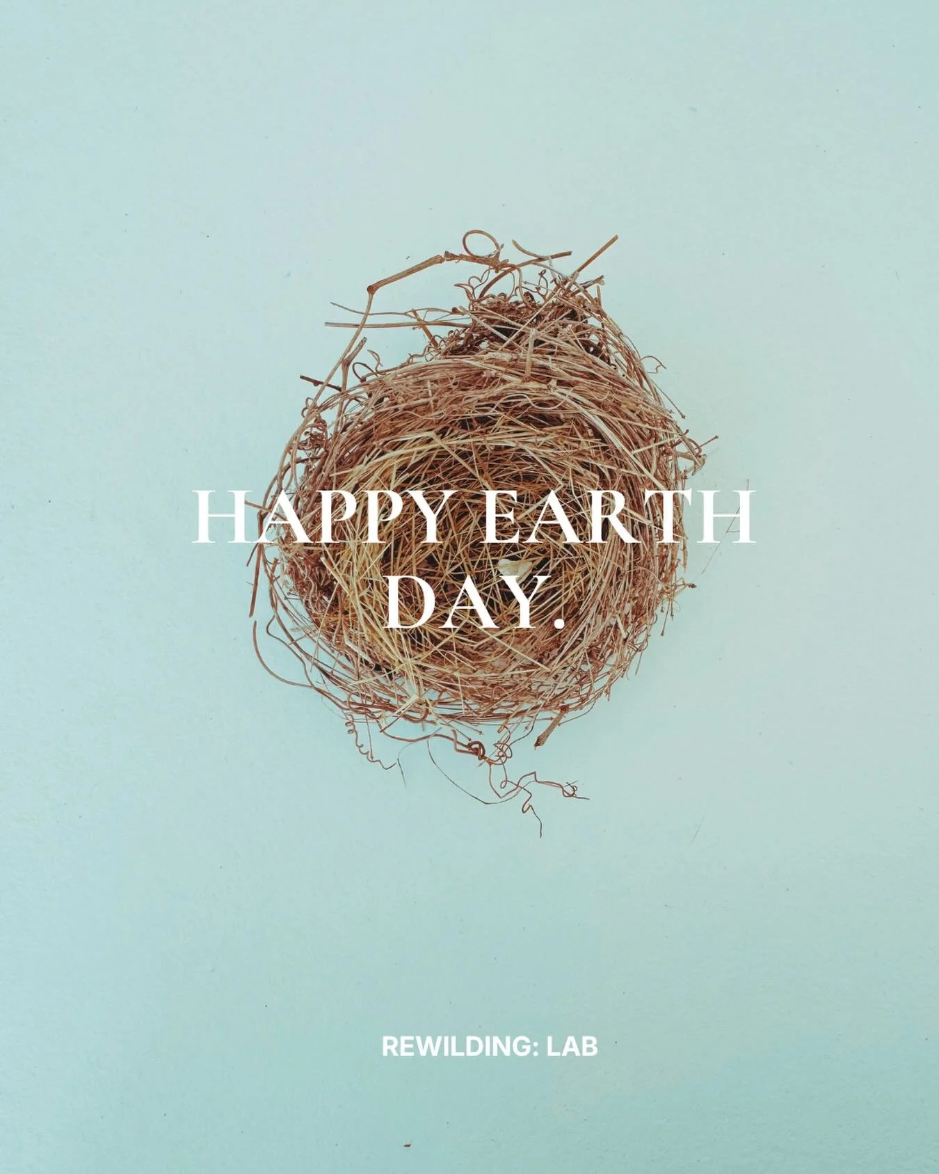 When you love the Earth, your heart is full of resting places&mdash;you see nests and stars, and yes, oh yes, how beautiful they are. 

#happyearthday