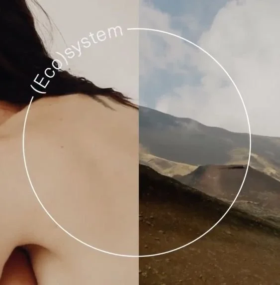 A split screen image showing half of a person's shoulder and back, and half of a landscape with mountain terrain and a cloudy sky, overlaid with the words "Ecosystem".